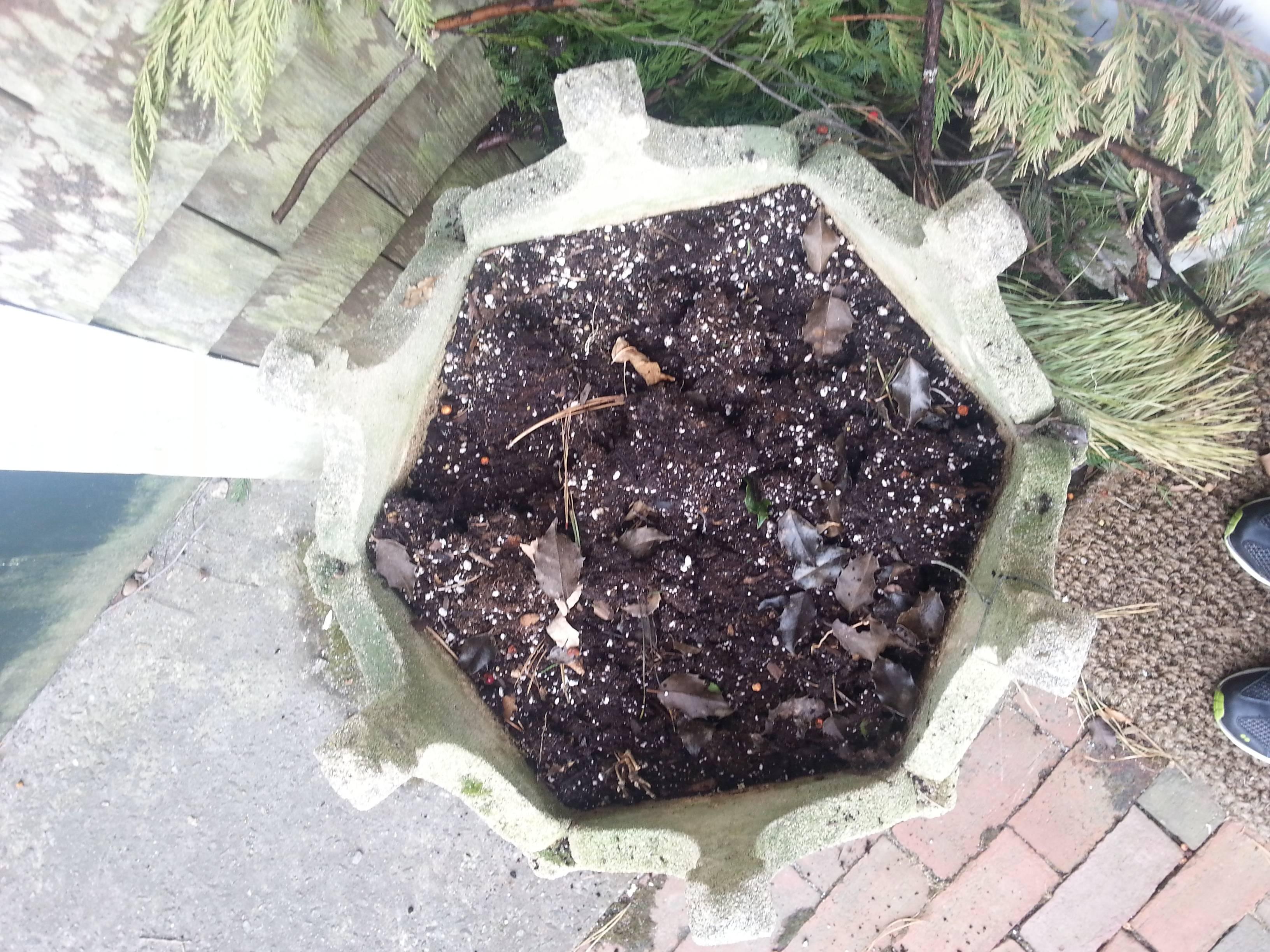 Gothic concrete planter For Sale 1