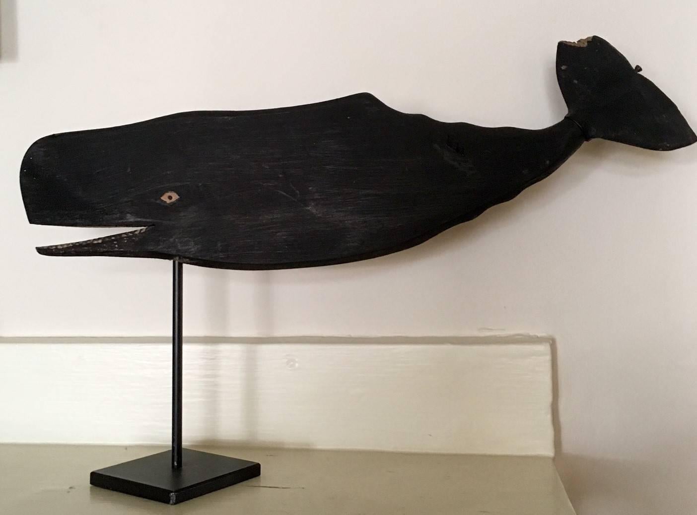 Nantucket Sperm Whale Weather Vane Whirligig, having slender hand-whittled flukes with great graceful curve, and carved teeth. The flukes are free to spin with the wind. Note there is charismatic chip to the tip of one fluke. In original black paint.