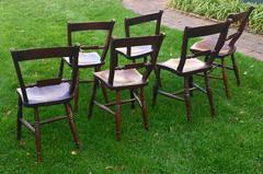 Elm Scroll Back Windsor Chairs, Set of Six