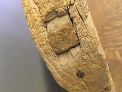 Antique Chinese Wooden Cart Wheel