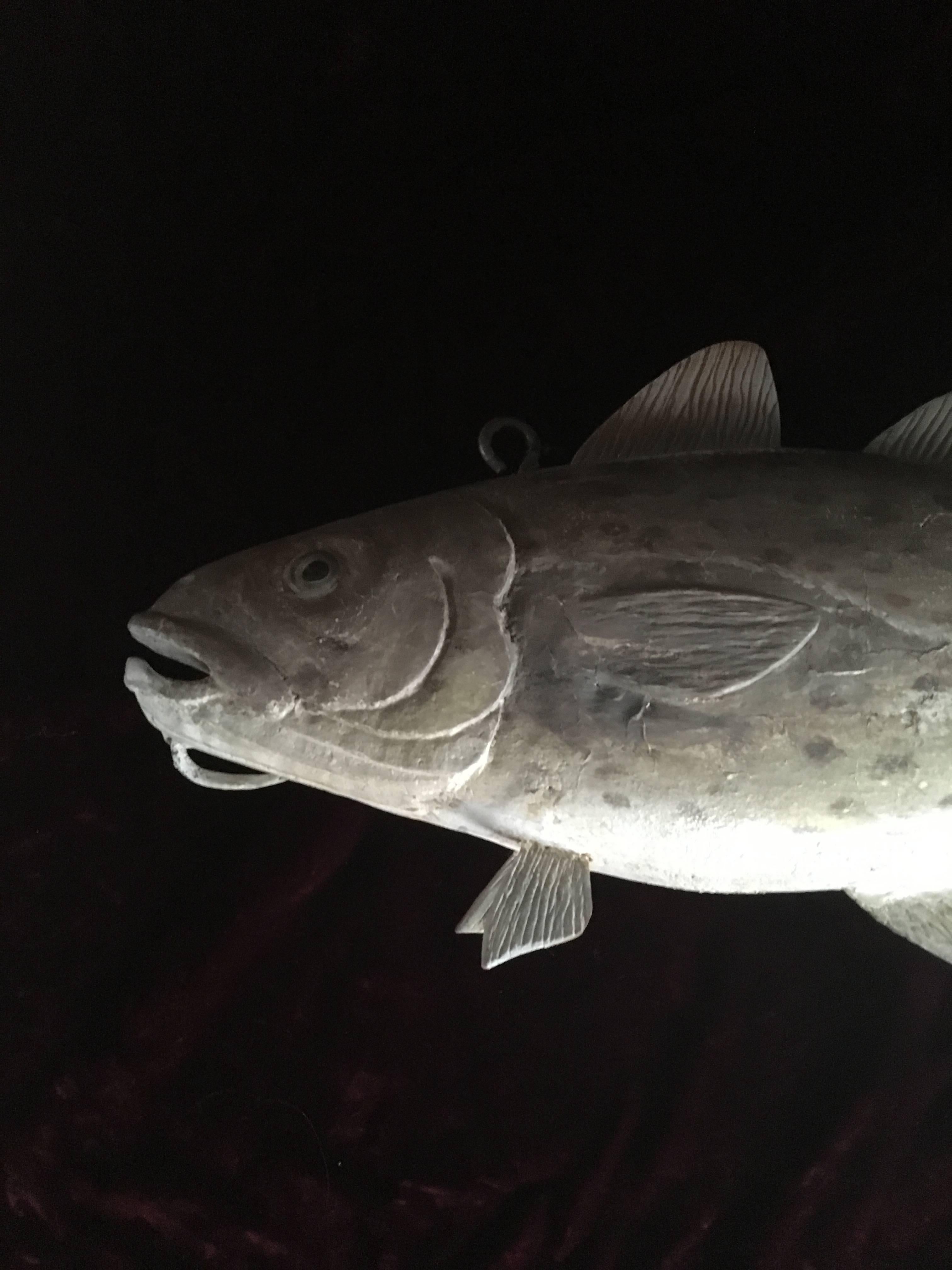 Carved in the round and painted wooden cod with glass eyes, wooden fins, raised gill plates and a fiber chin barbel, signed R.M. Ethier, circa 1970 or so. Mounted with iron hooks for hanging.