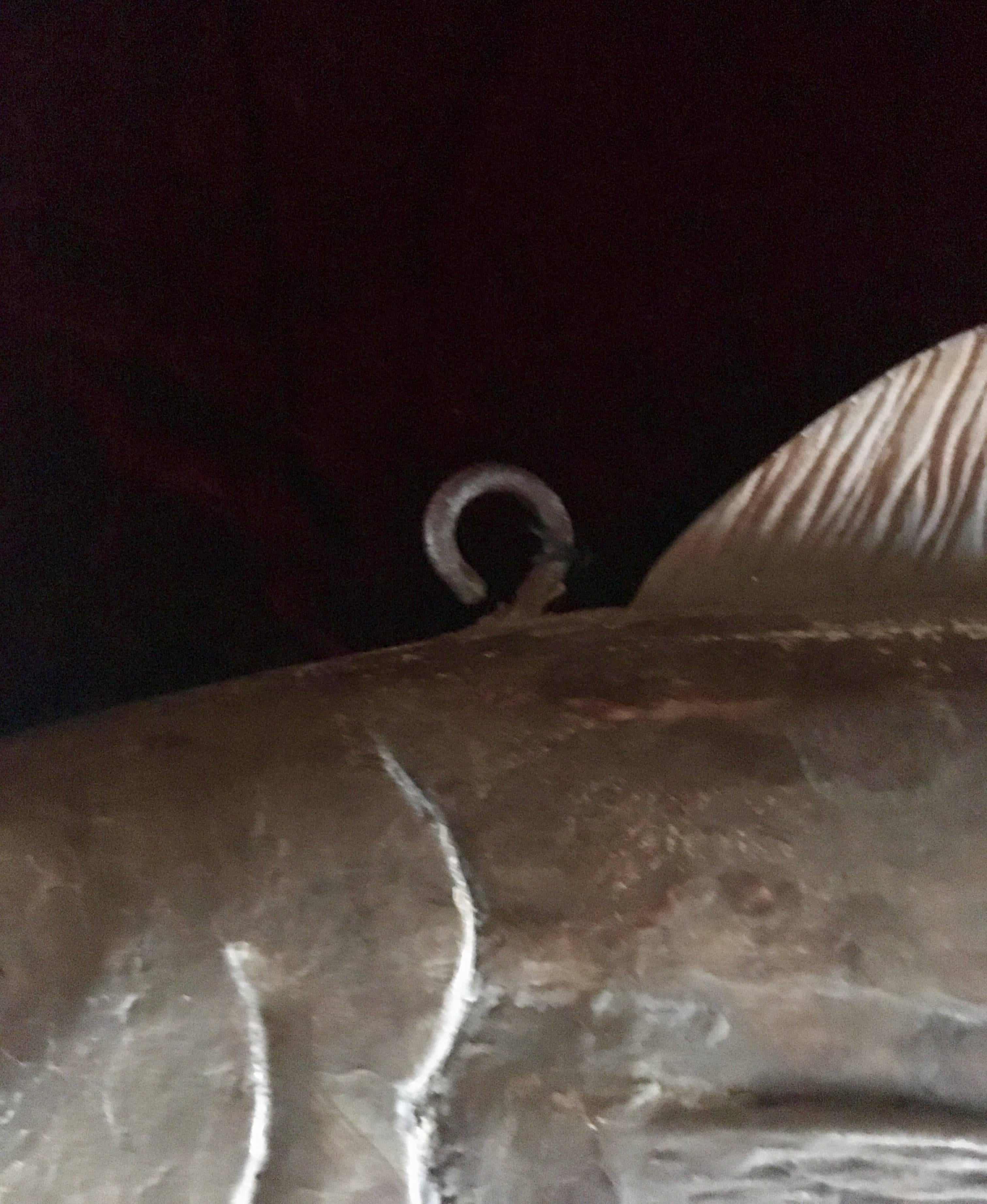 Late 20th Century Folk Art Carved Cod Fish