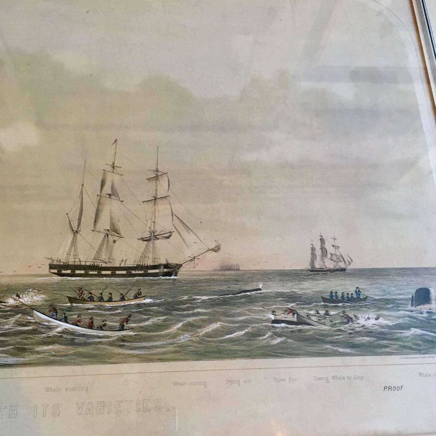 American 19th Century Colored Lithograph of Sperm Whaling with Its Varieties, 1870 For Sale