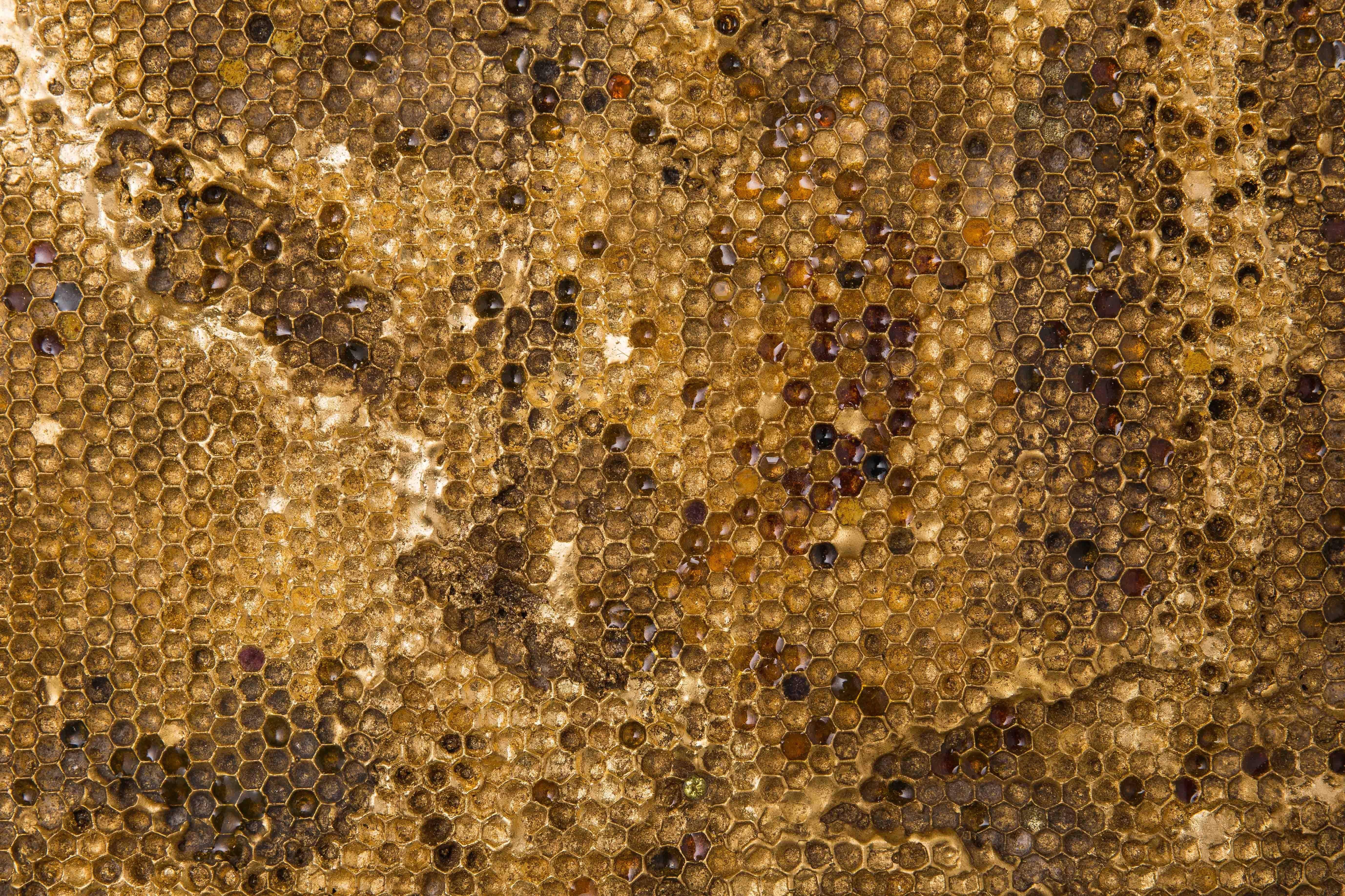 Hoard masterfully explores the exquisite nature of honeycombs using cast bronze, gilded plaster as well as precious and semi-precious stones. Coryndon, who says that natural forms are always at the heart of her work, became interested in bees after
