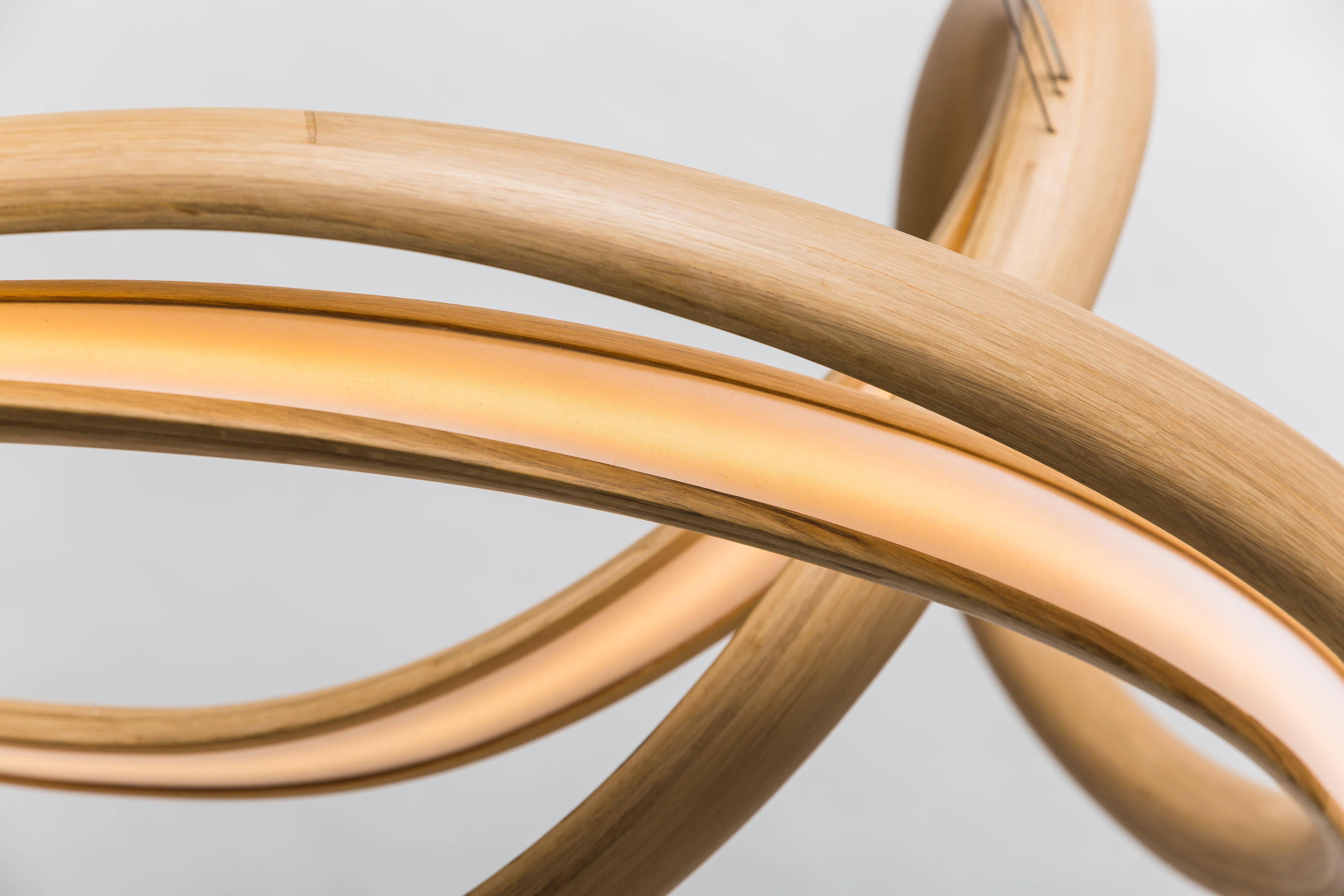 Américain Sculpture lumineuse de la série Freeform de John Procario, États-Unis, 2016 en vente