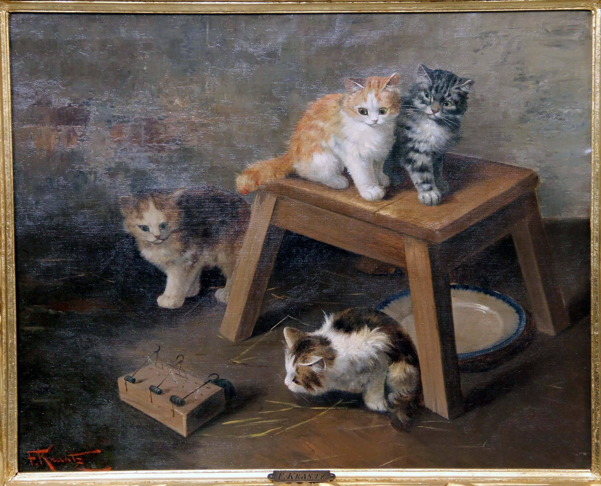 Belle Époque Magnifique paire de peintures de chatons de la fin du 19e siècle et du début du 20e siècle par F. Krantz en vente