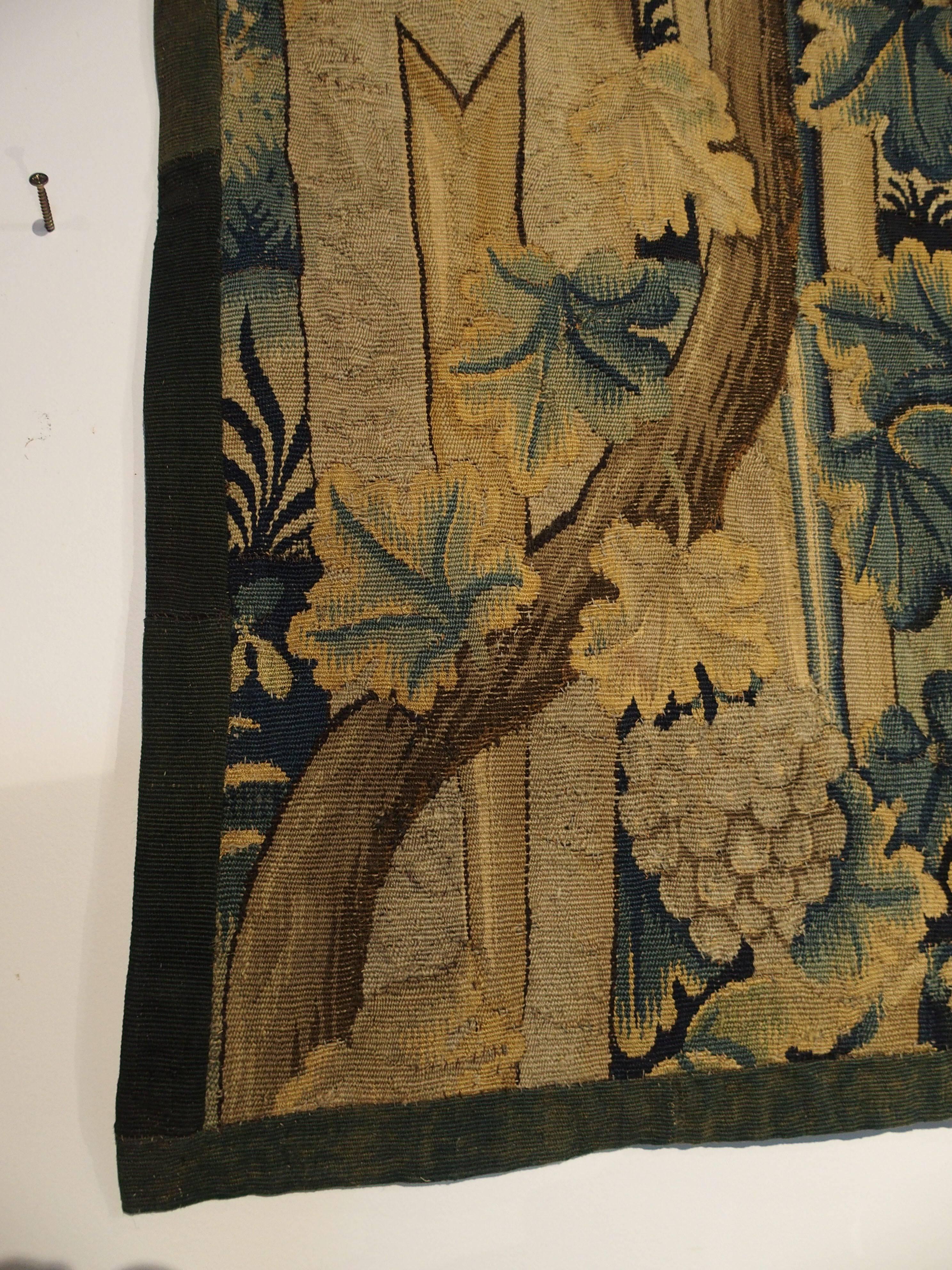 17th Century Tapestry Fragment from Flanders 3