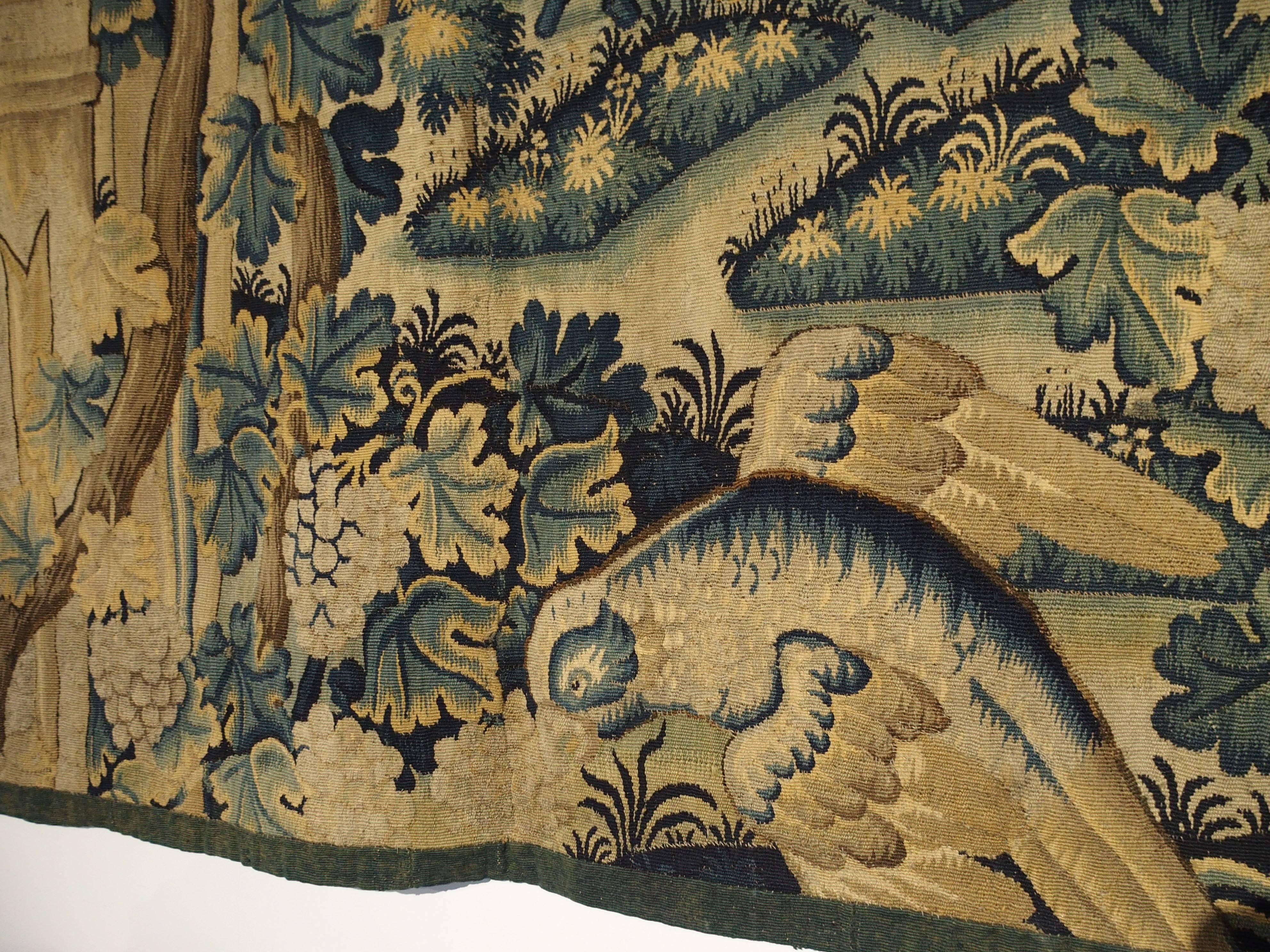 17th Century Tapestry Fragment from Flanders 4