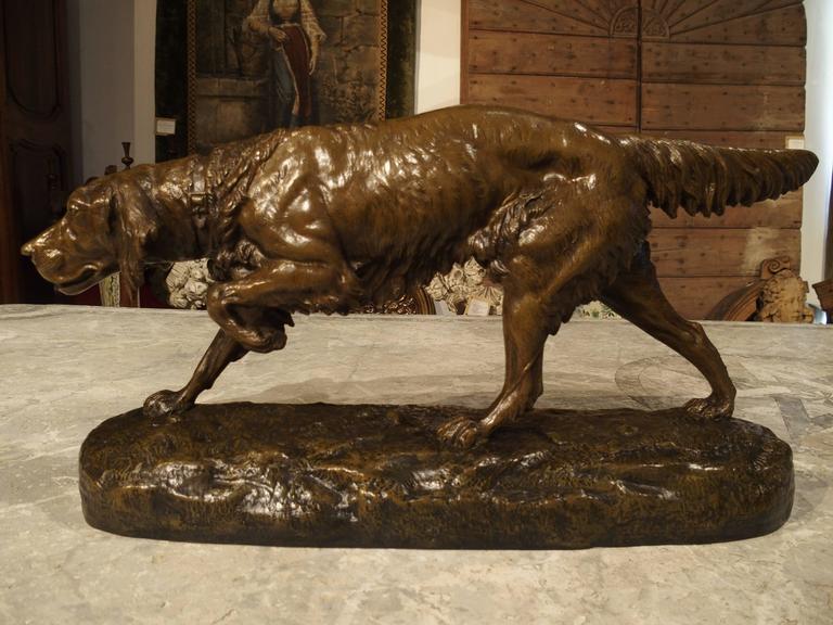 Large Antique Bronze Hunting Dog Statue, C. Masson at 1stdibs