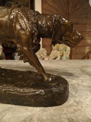 Large Antique Bronze Hunting Dog Statue, C. Masson