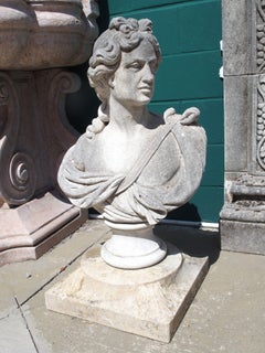 Carved Italian Limestone Bust of Apollo Belvedere on Plinth