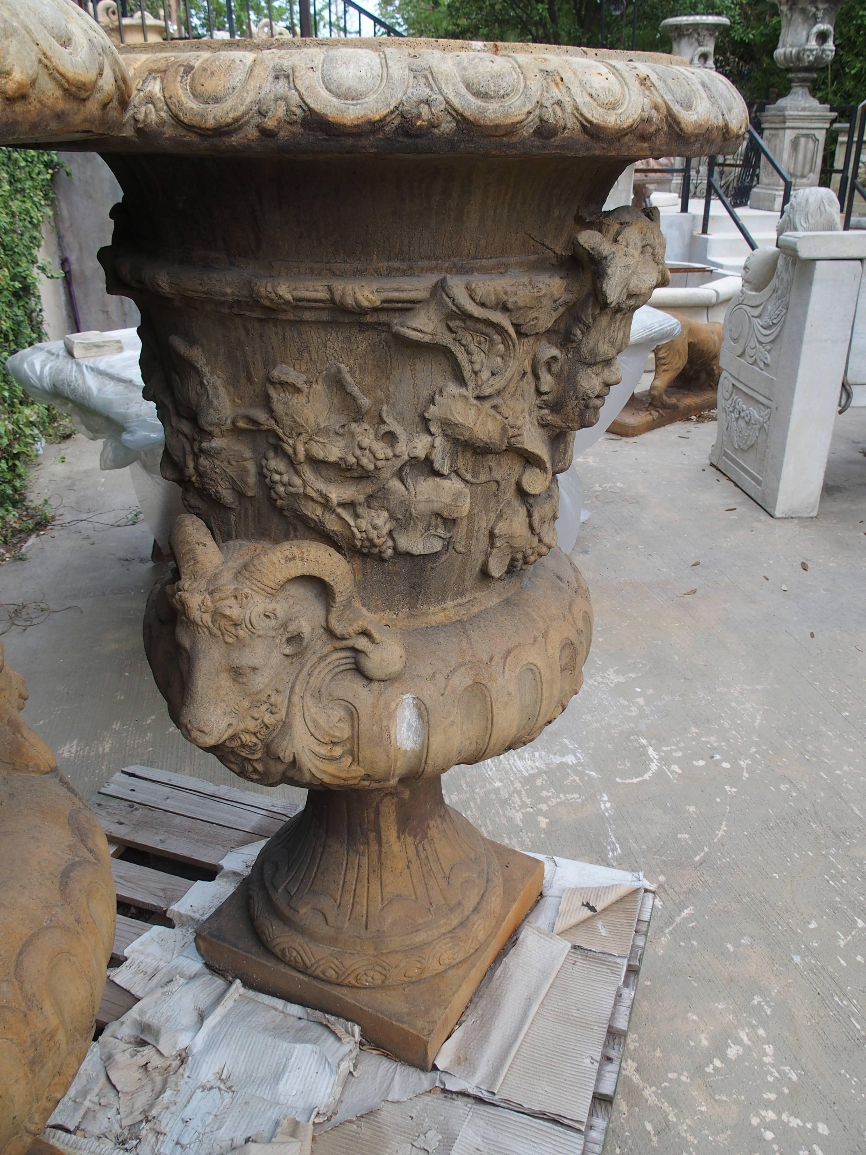 Pair of Large European Cast Garden Urns with Mascarons, Rams Heads, and Grape  1