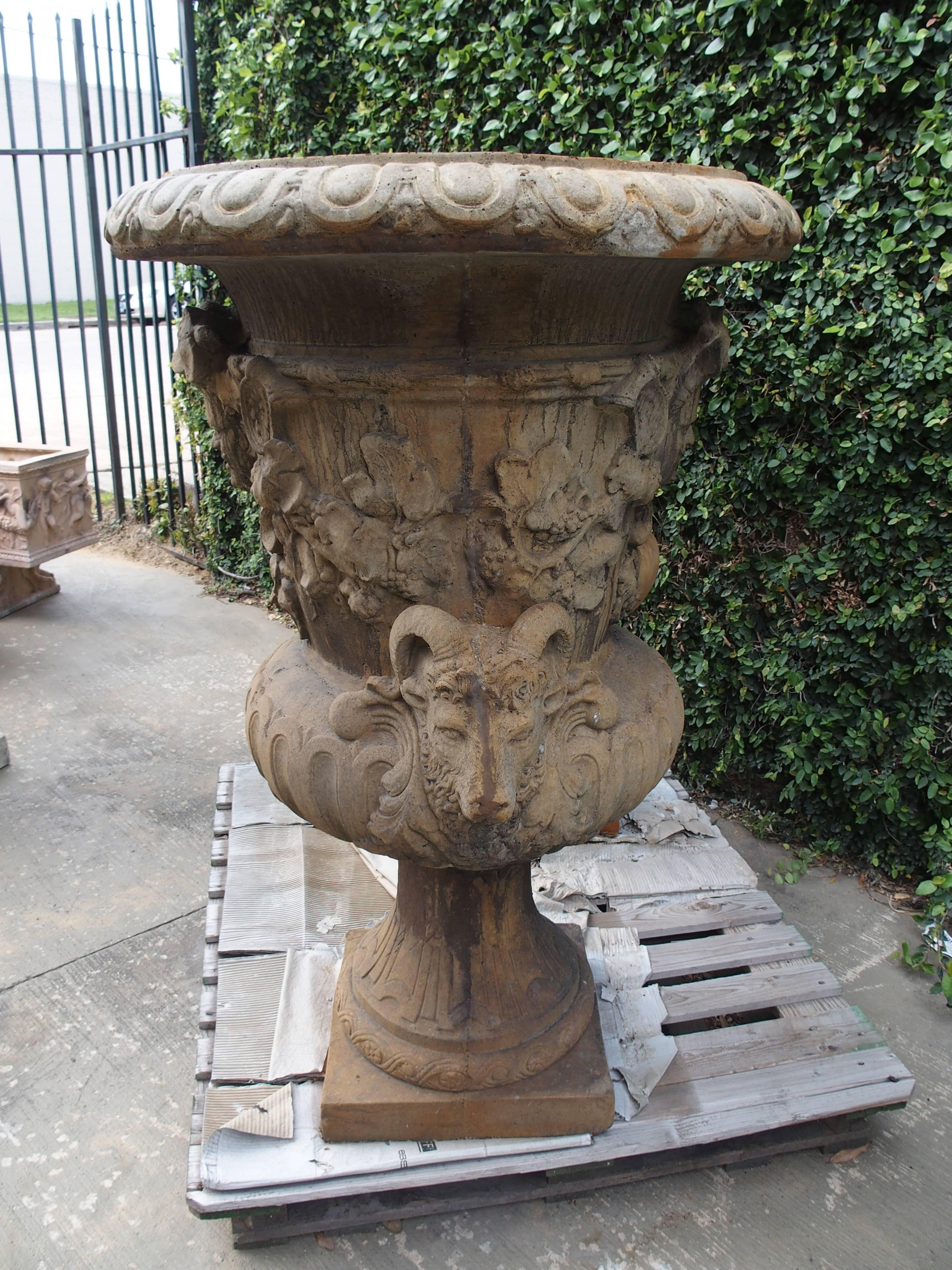 Pair of Large European Cast Garden Urns with Mascarons, Rams Heads, and Grape  2