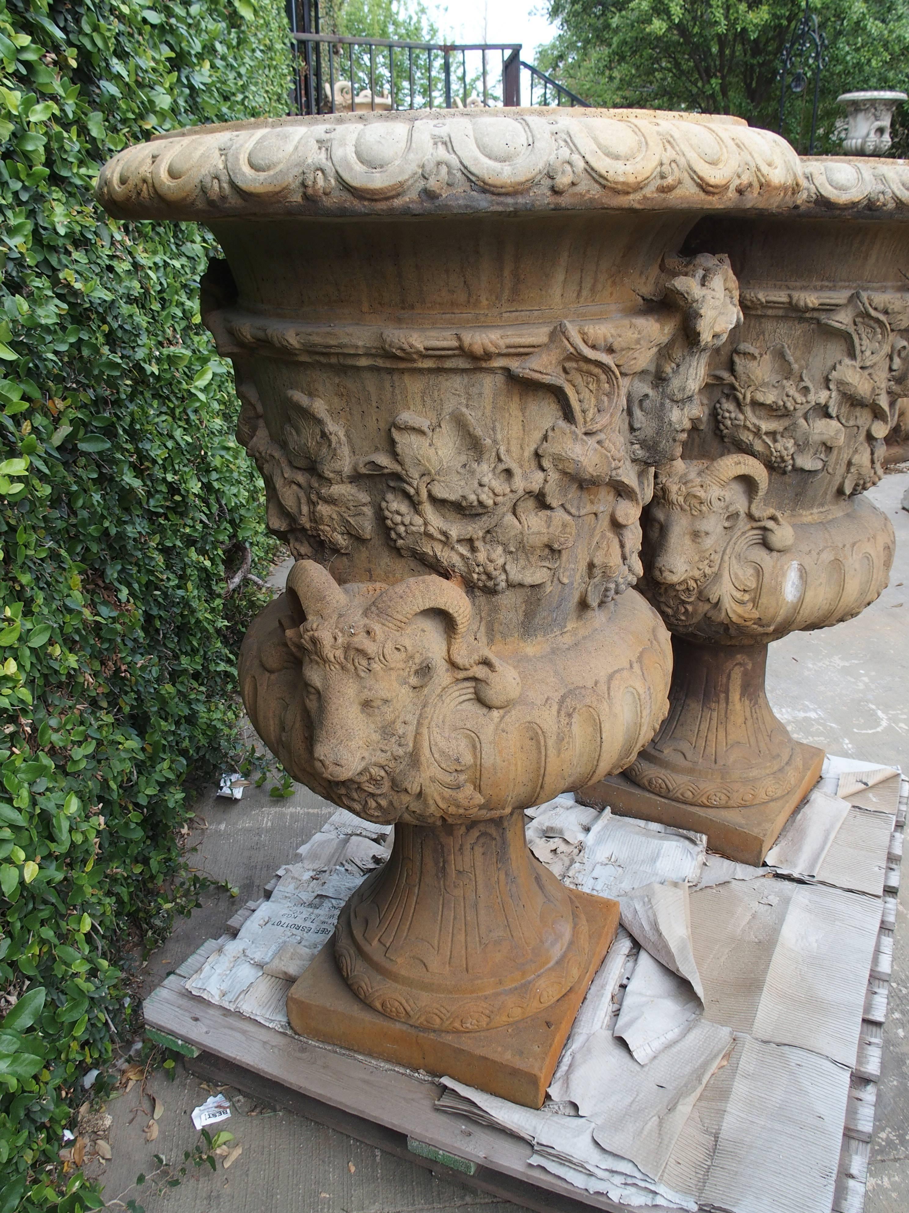 Pair of Large European Cast Garden Urns with Mascarons, Rams Heads, and Grape  3