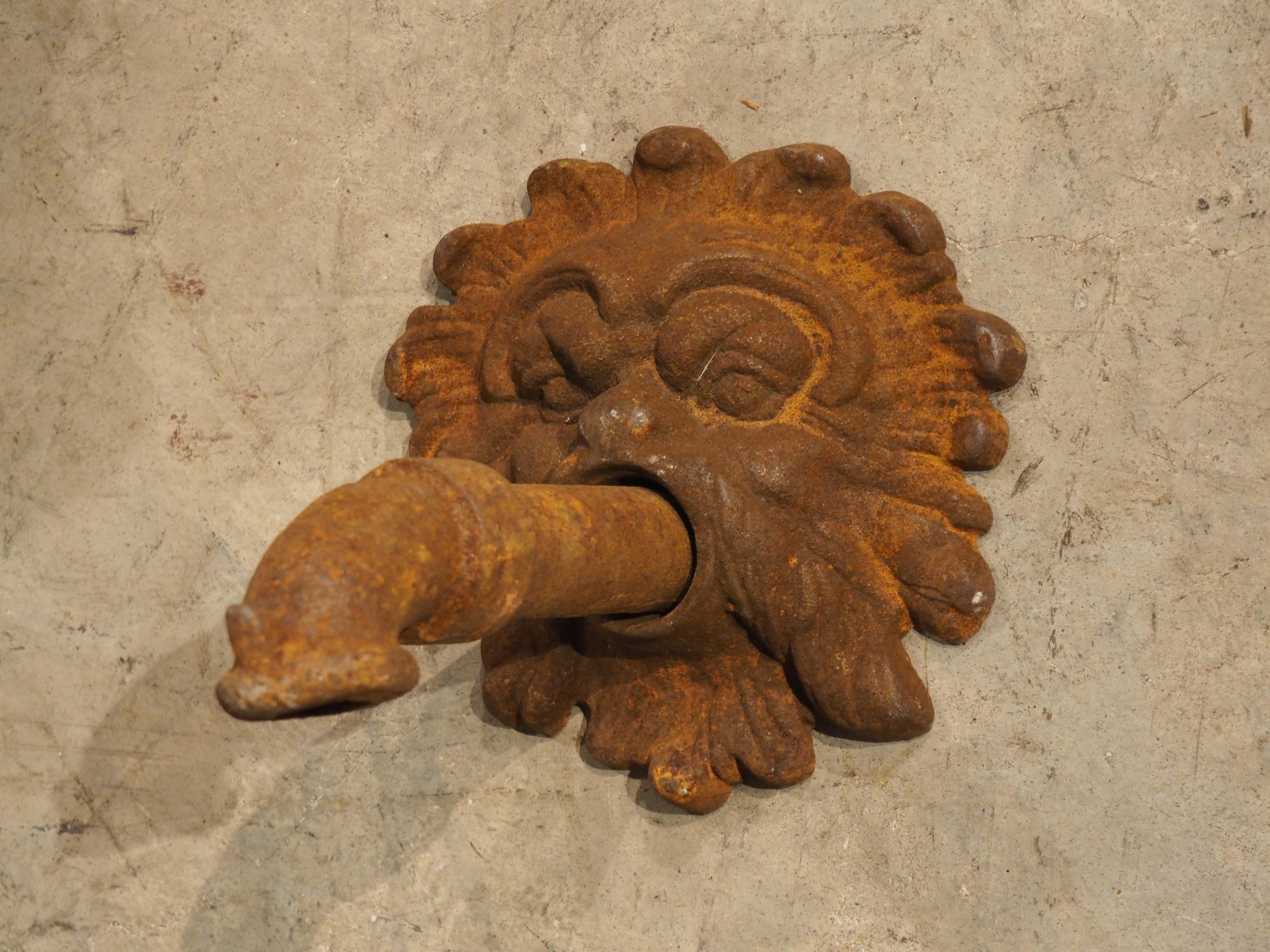Metallo Beccuccio Mascaron in ghisa francese con piastra posteriore in vendita