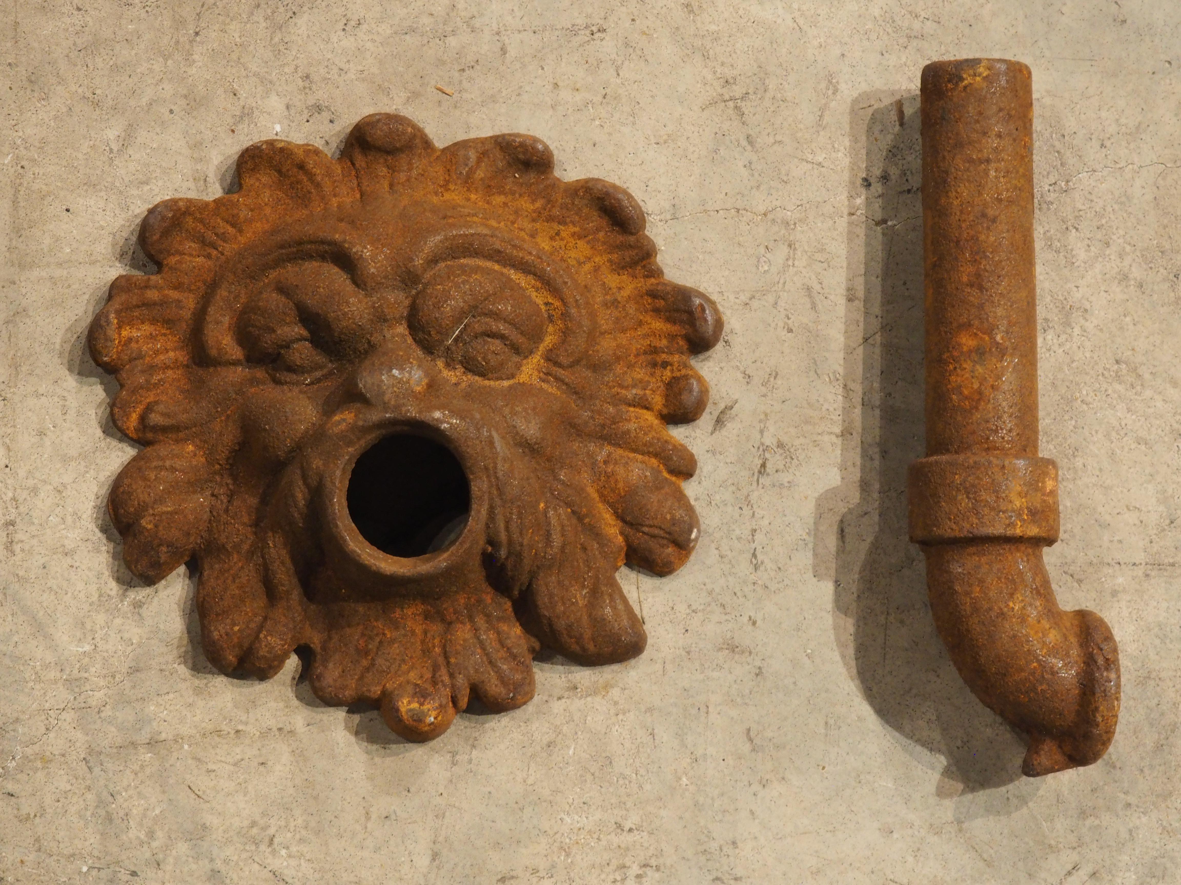 XX secolo Beccuccio Mascaron in ghisa francese con piastra posteriore in vendita