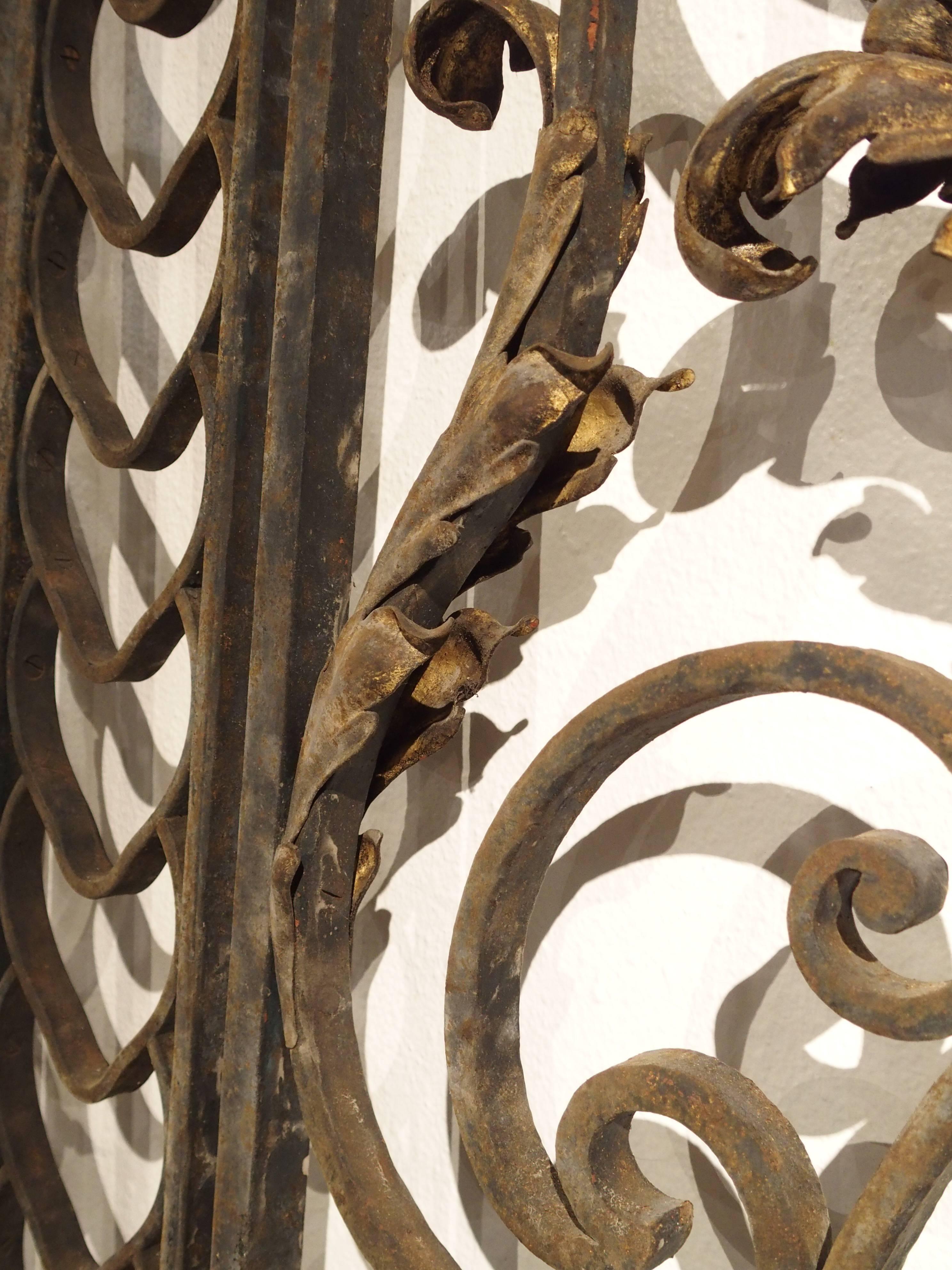 These antique French wrought iron gates are absolutely stunning. All of the motifs are on both sides of the gates. Each door is centered with what appears to be urns, but are really motifs of shaped acanthus leaves surrounded by graceful, flowing C