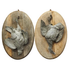Pair of Circa 1890 Weathered French Hunt Trophies on Natural Oak Oval Panels