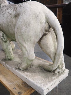 A French Medici Style Lion in Reconstituted Stone, 20th C