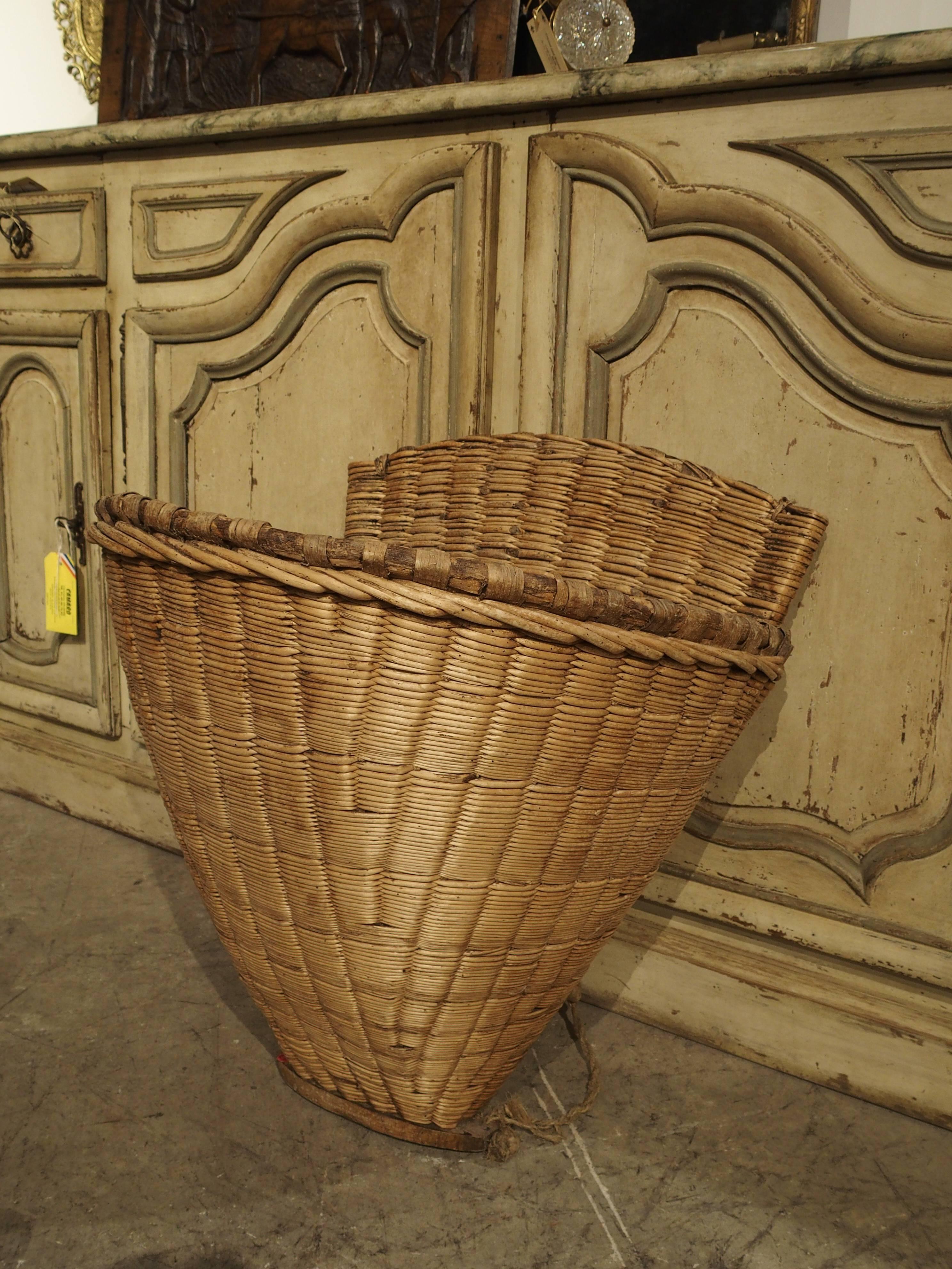This antique French wine basket would have been used for collecting clusters of grapes from the vineyards. The basket would have been placed on the gatherer’s back while the arms went thru the woven arm holders for stabilization. These wine baskets