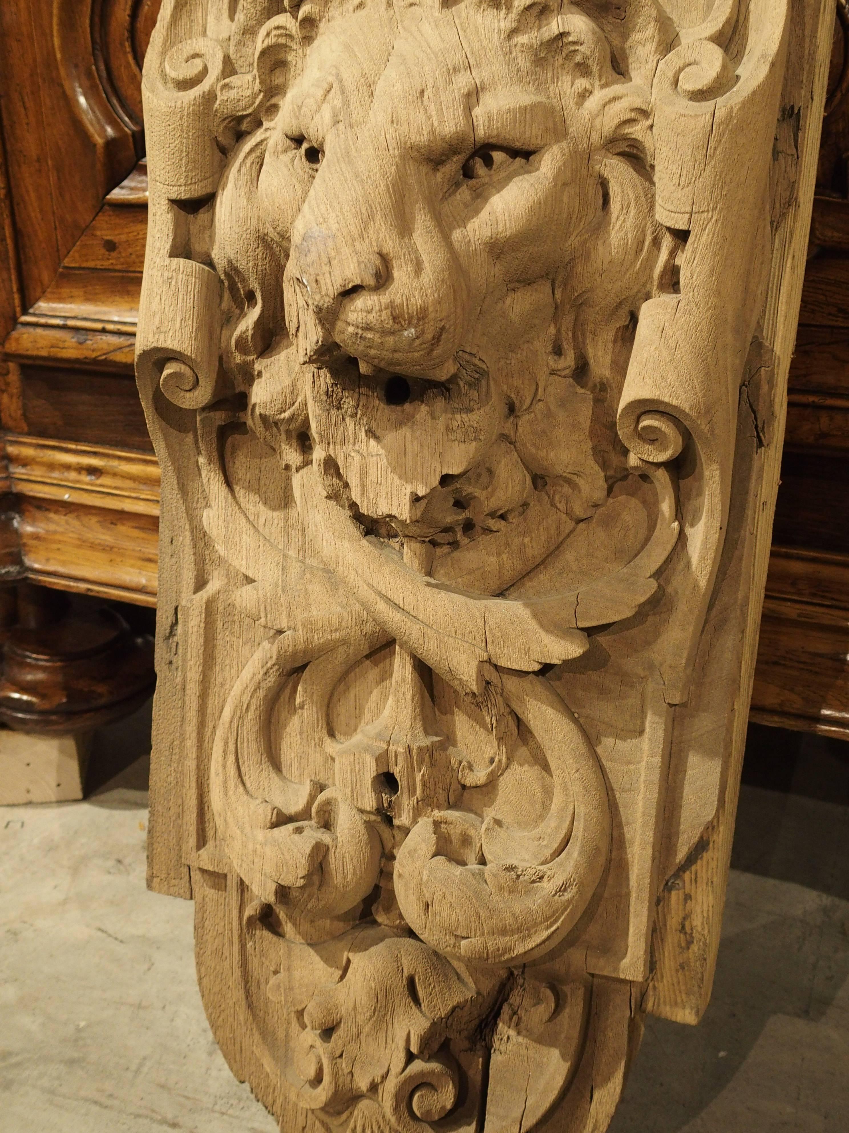 French 17th Century Door Carved Oak Knocker Backing from France