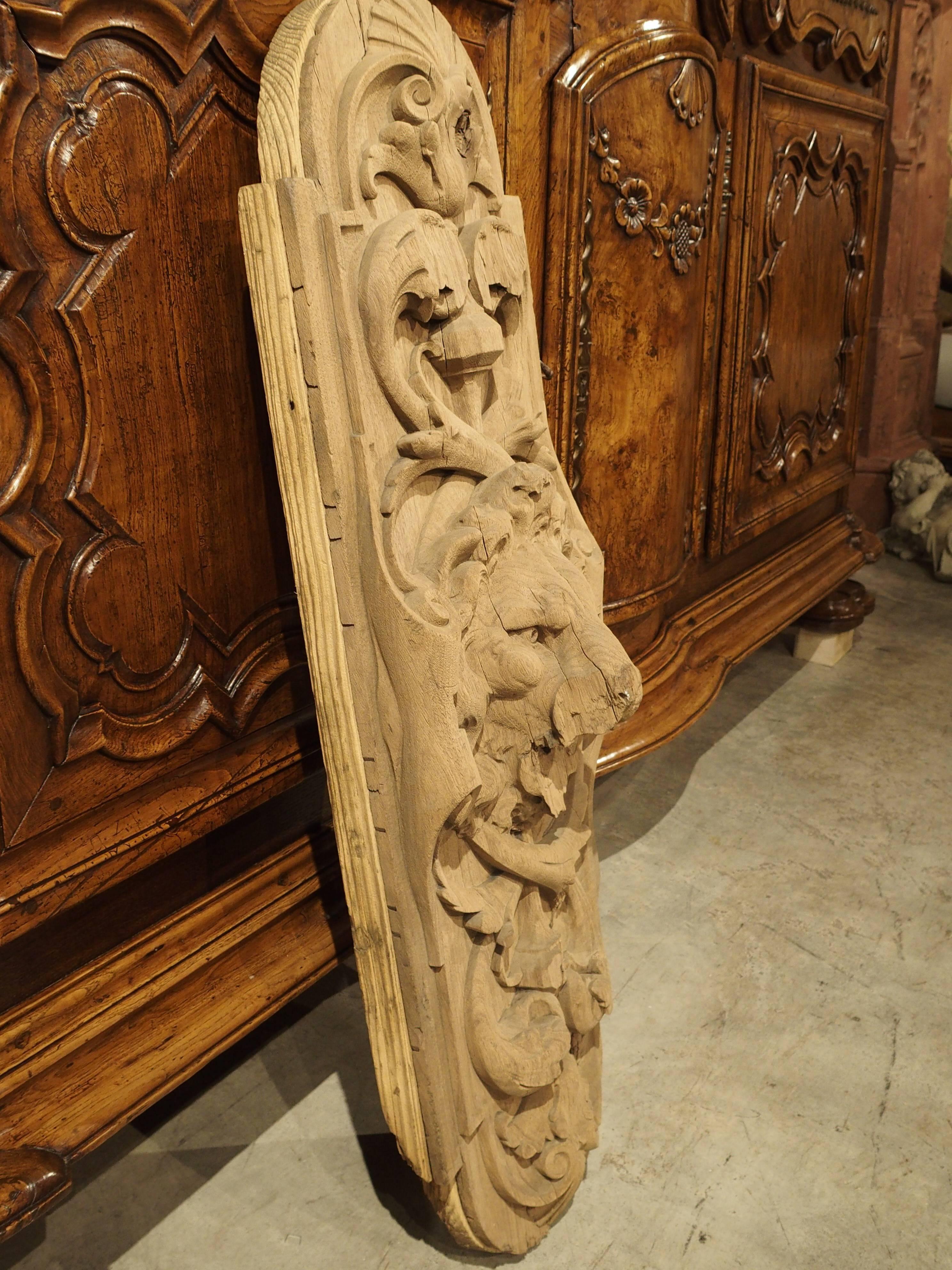 18th Century and Earlier 17th Century Door Carved Oak Knocker Backing from France