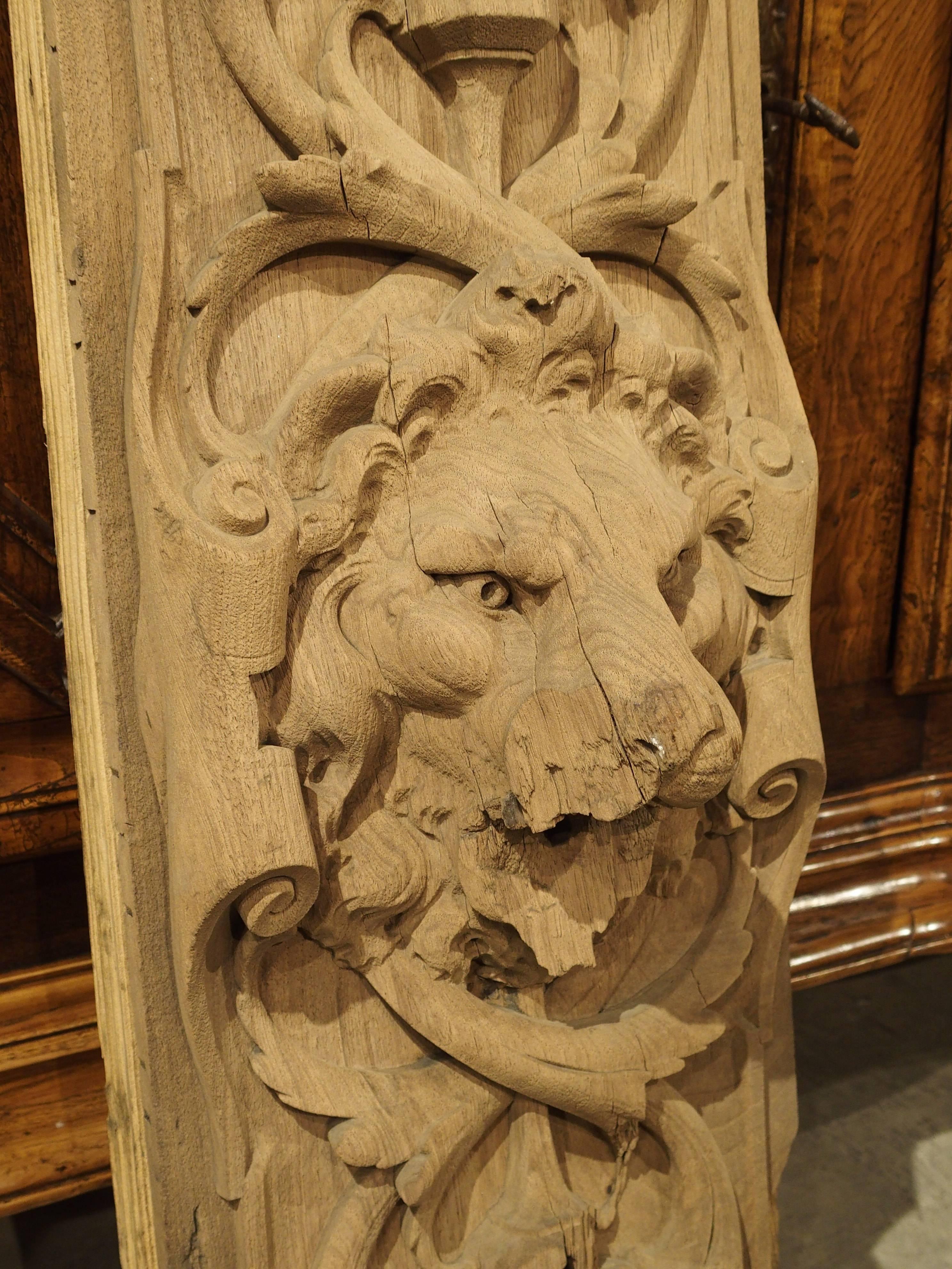 17th Century Door Carved Oak Knocker Backing from France 3