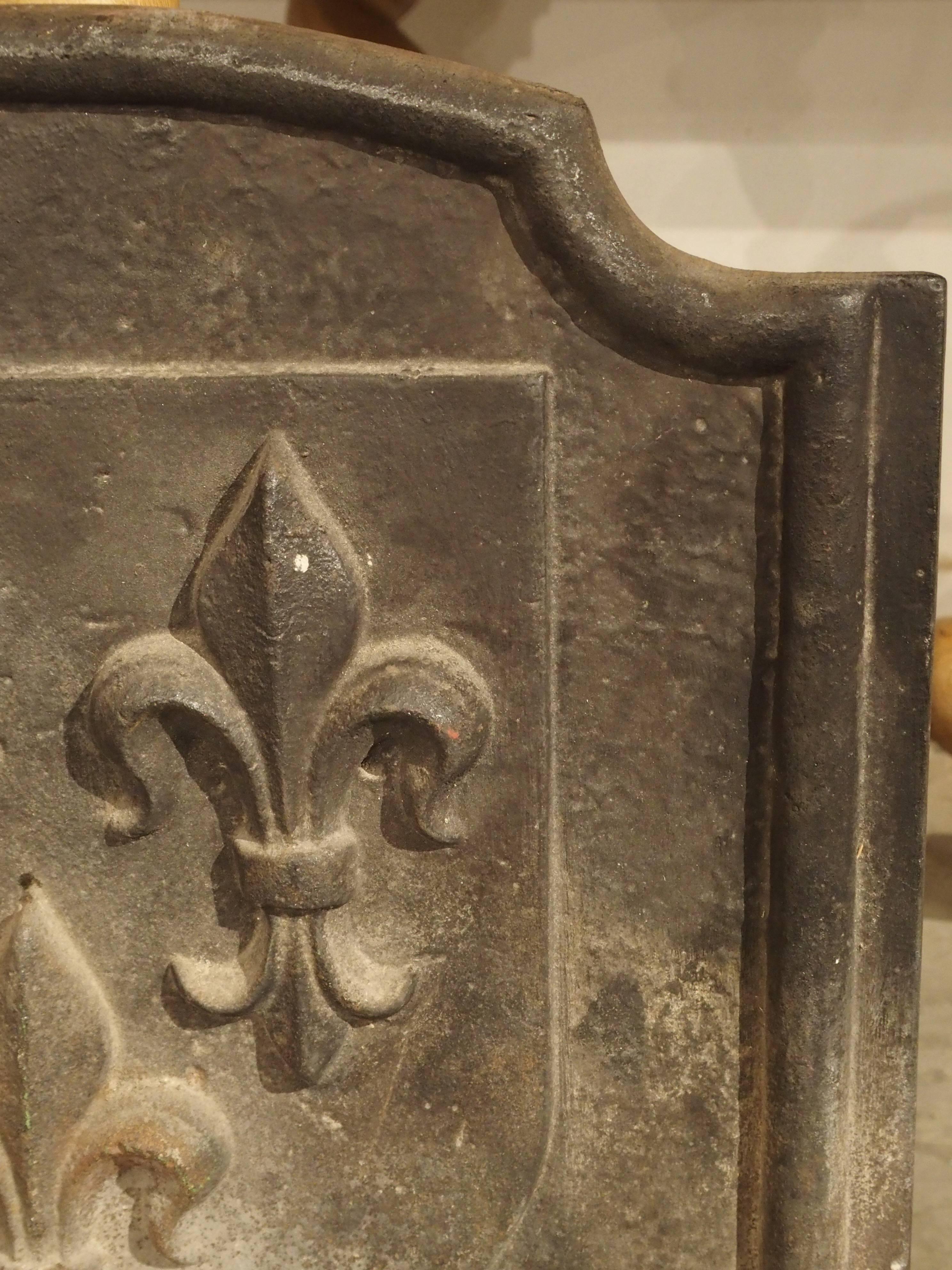 Antique Fleur De Lys Cast Iron Fireback, France, circa 1910 1