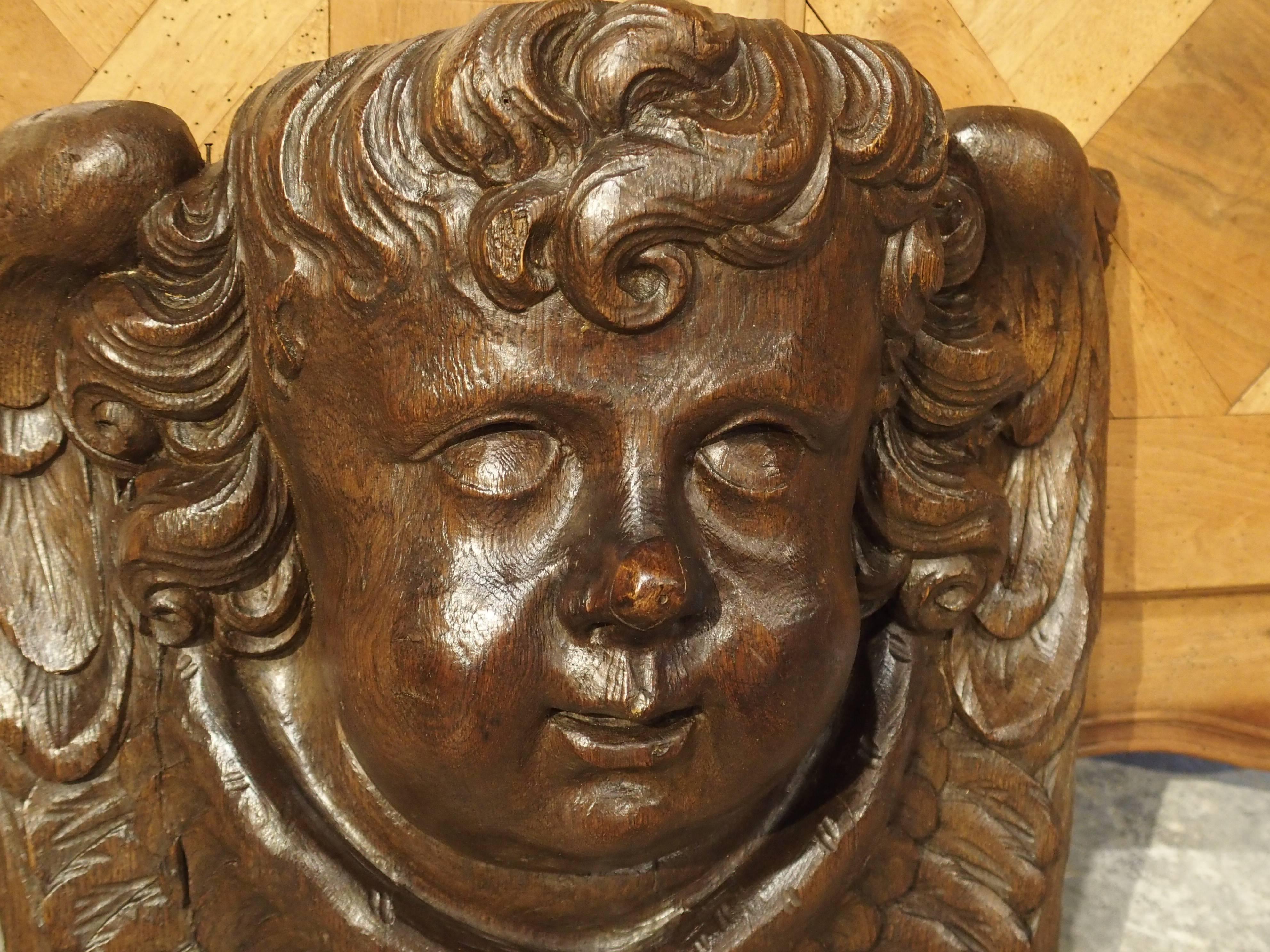 Baroque Large 17th Century Flemish Carving of a Winged Cherub For Sale