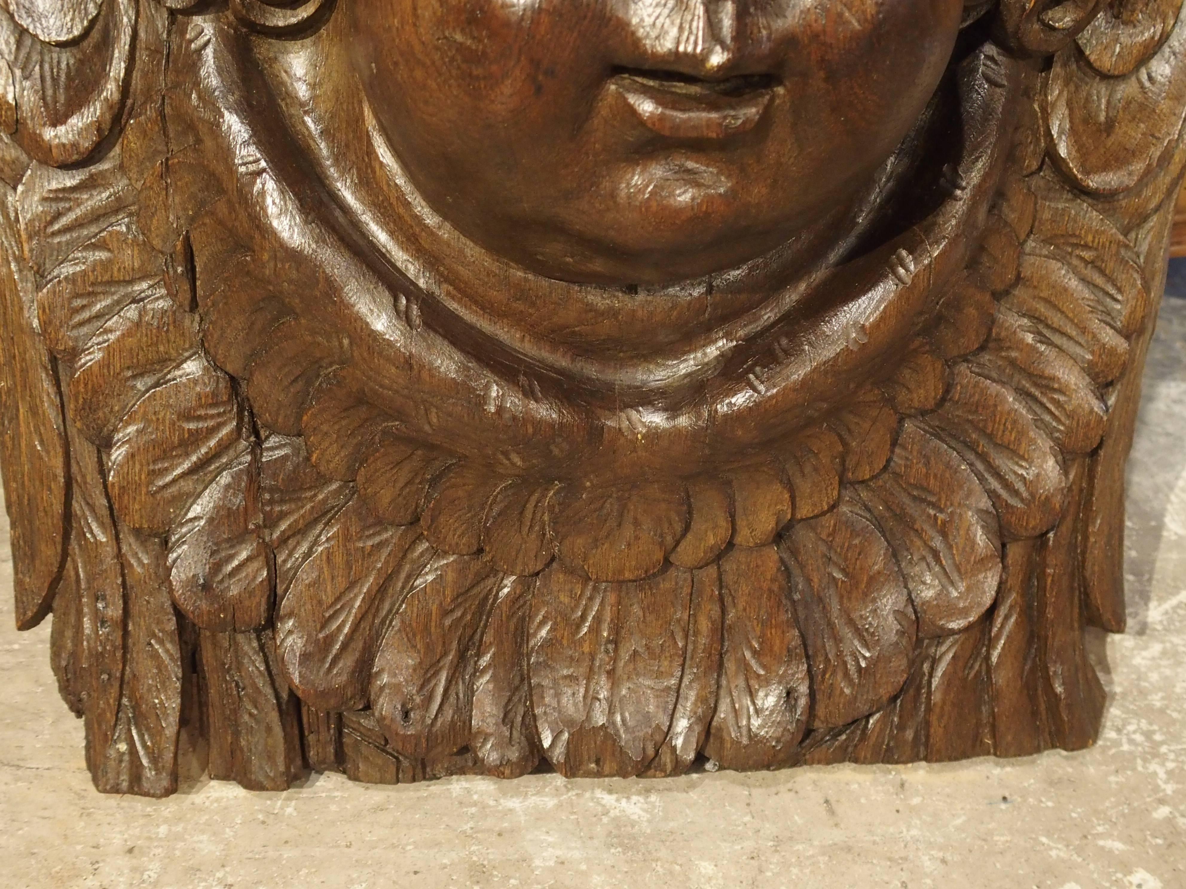 Belgian Large 17th Century Flemish Carving of a Winged Cherub