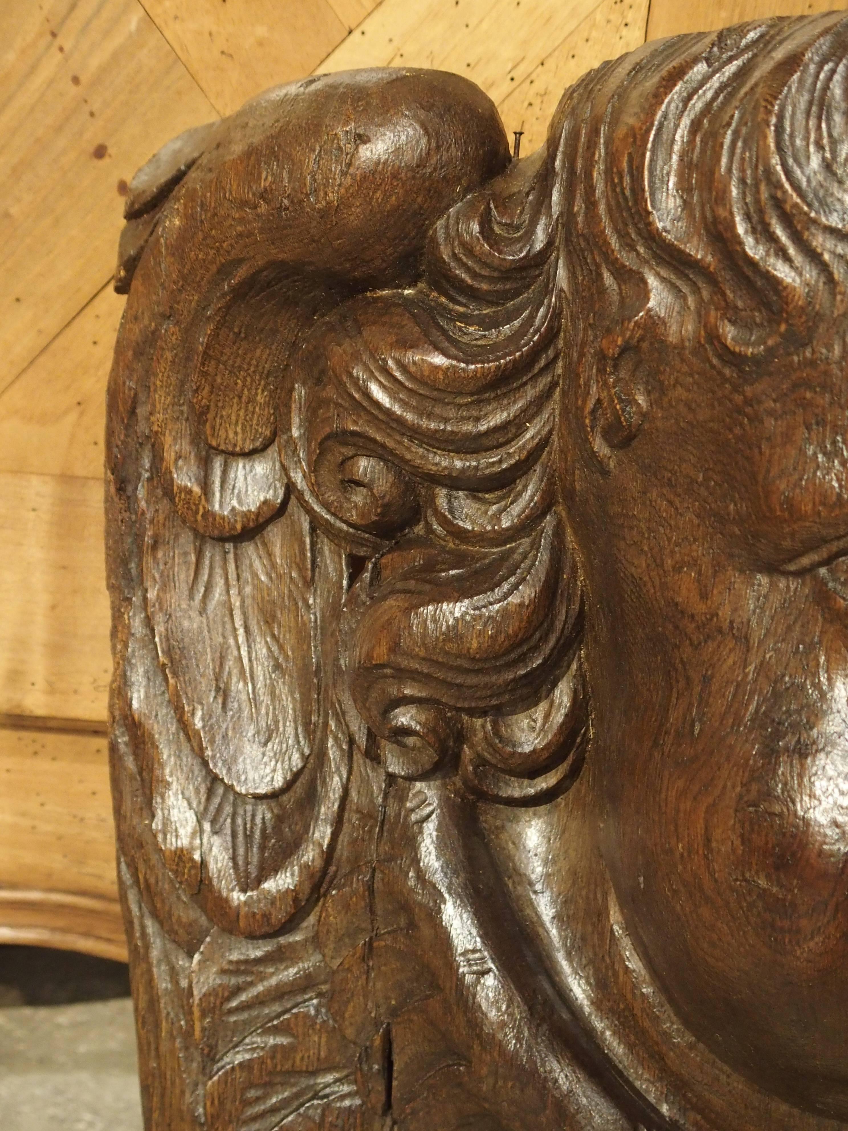 Große flämische Schnitzerei eines geflügelten Cherubs aus dem 17. Jahrhundert (Eichenholz) im Angebot