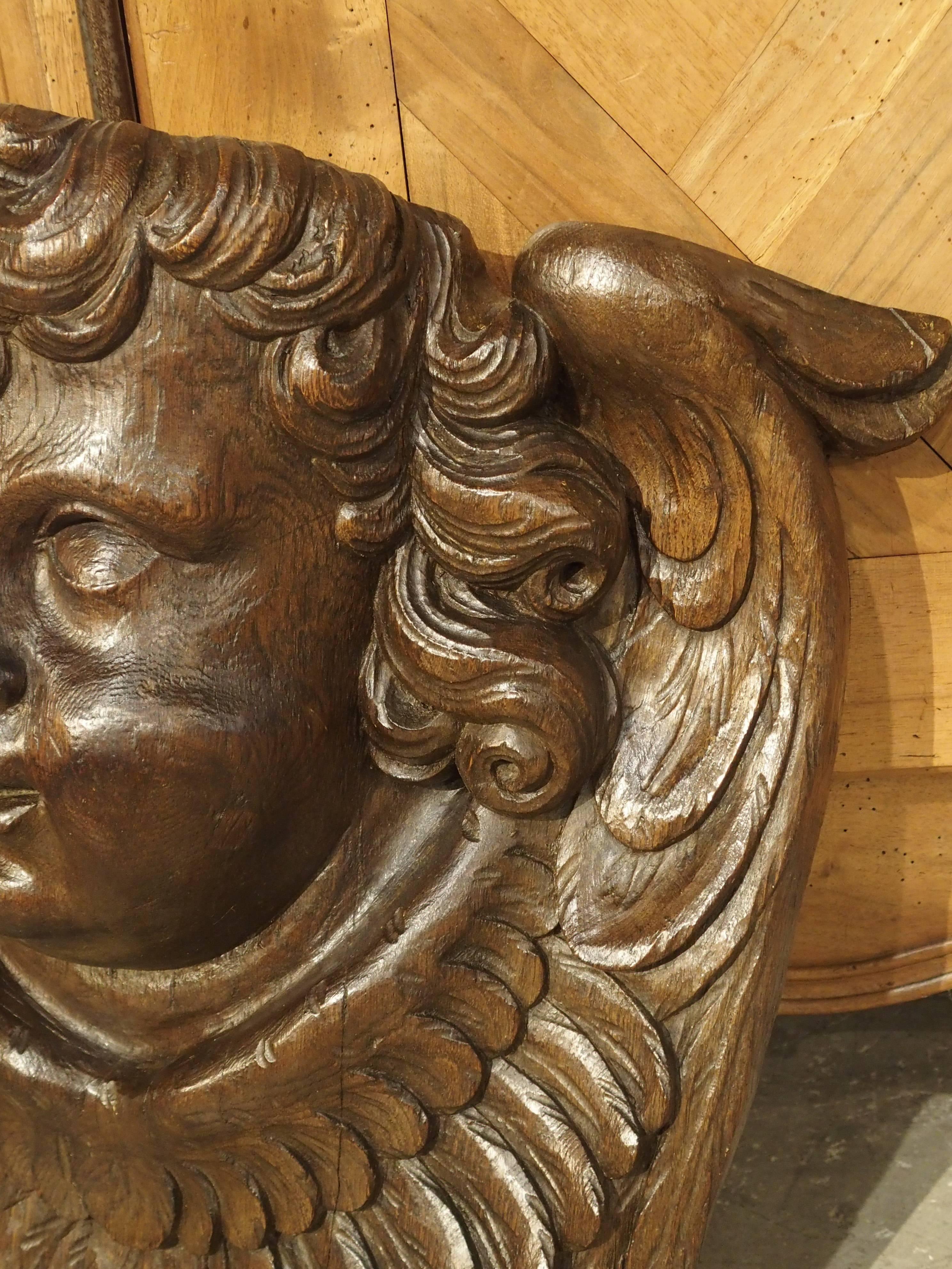 Large 17th Century Flemish Carving of a Winged Cherub For Sale 1