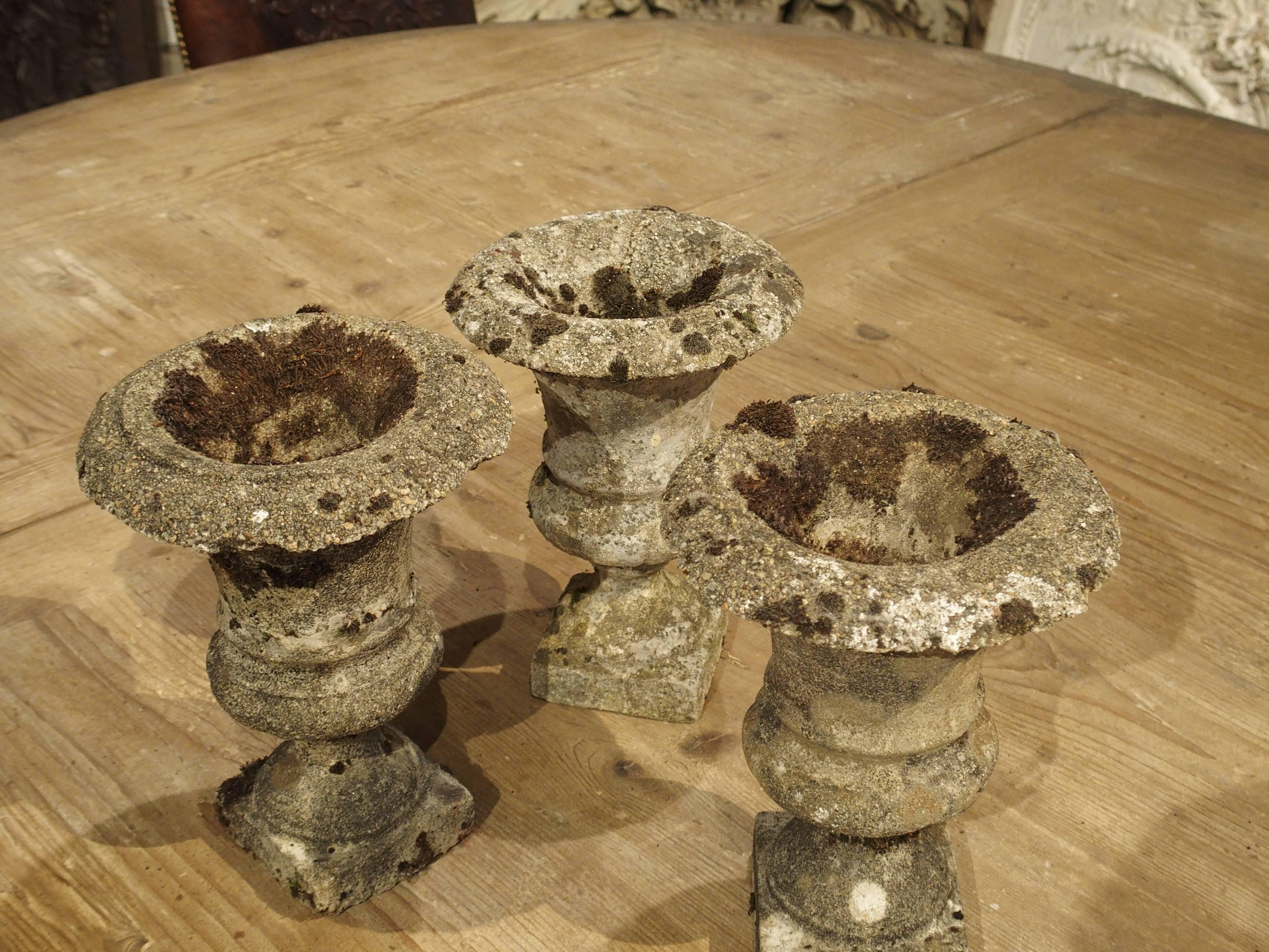 These small 'campana' reconstituted stone urns date to the beginning of the 1900s. Versatile in their uses, and being of a rare size, these urns can be used indoors or outside. There is a small round hole in the bottom of each for allowing the water