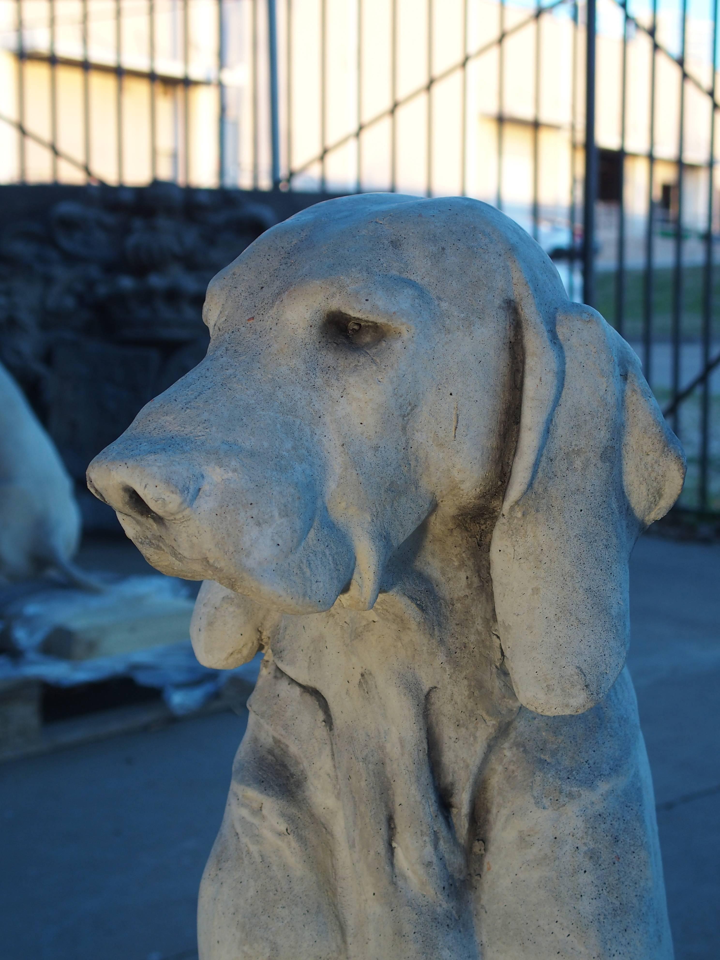 This pair of lifesize dog statues are made of finely cast stone with an antique finish. The quality is high and the proportions are perfect because they were cast from an original iron pair that was borrowed from a historical park in England. The