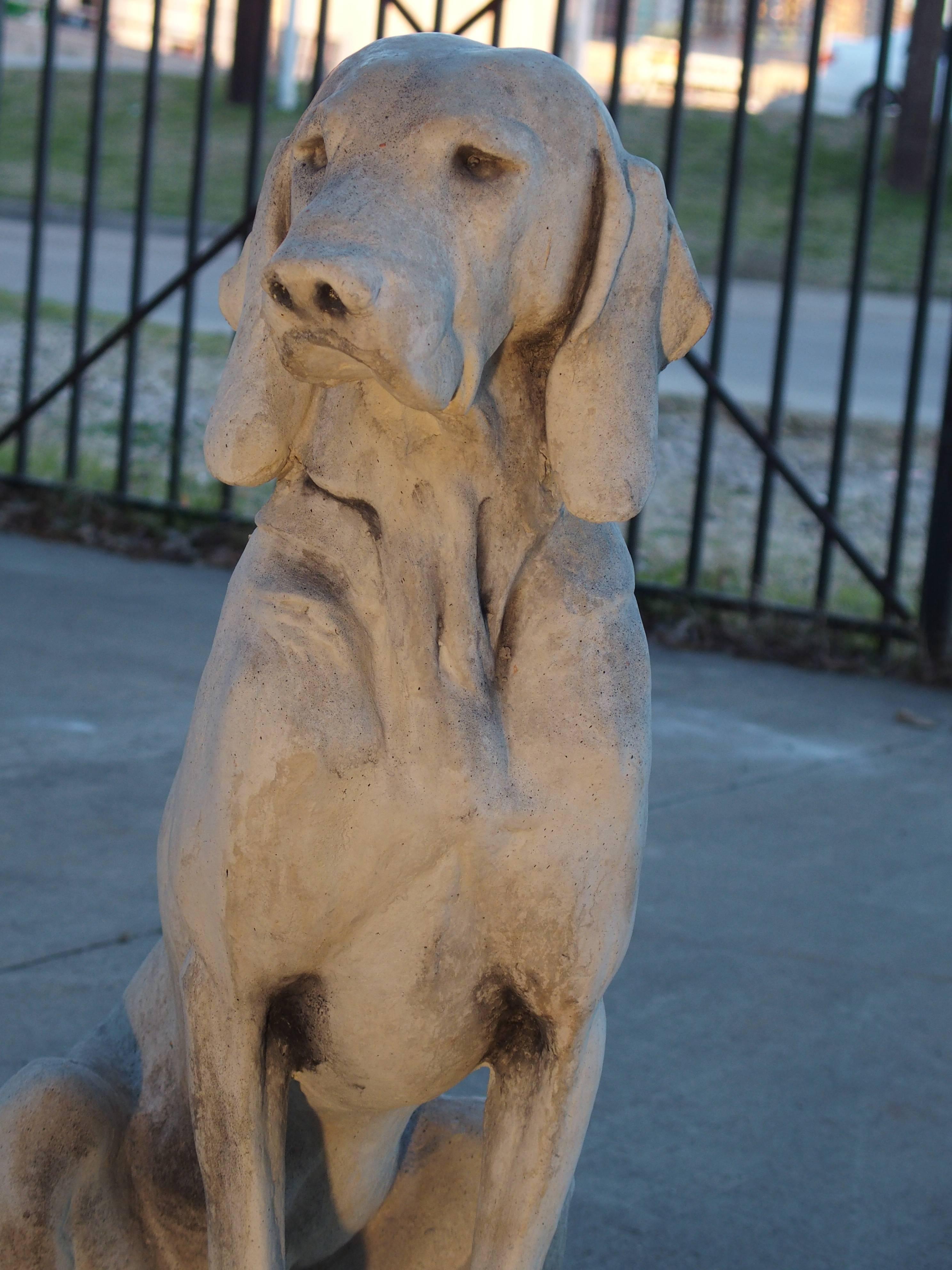 stone dogs
