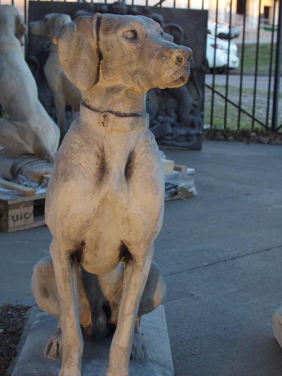 Pair of Finely Cast Stone Hunting Dog Statues at 1stDibs stone dog statue, stone dogs, cast
