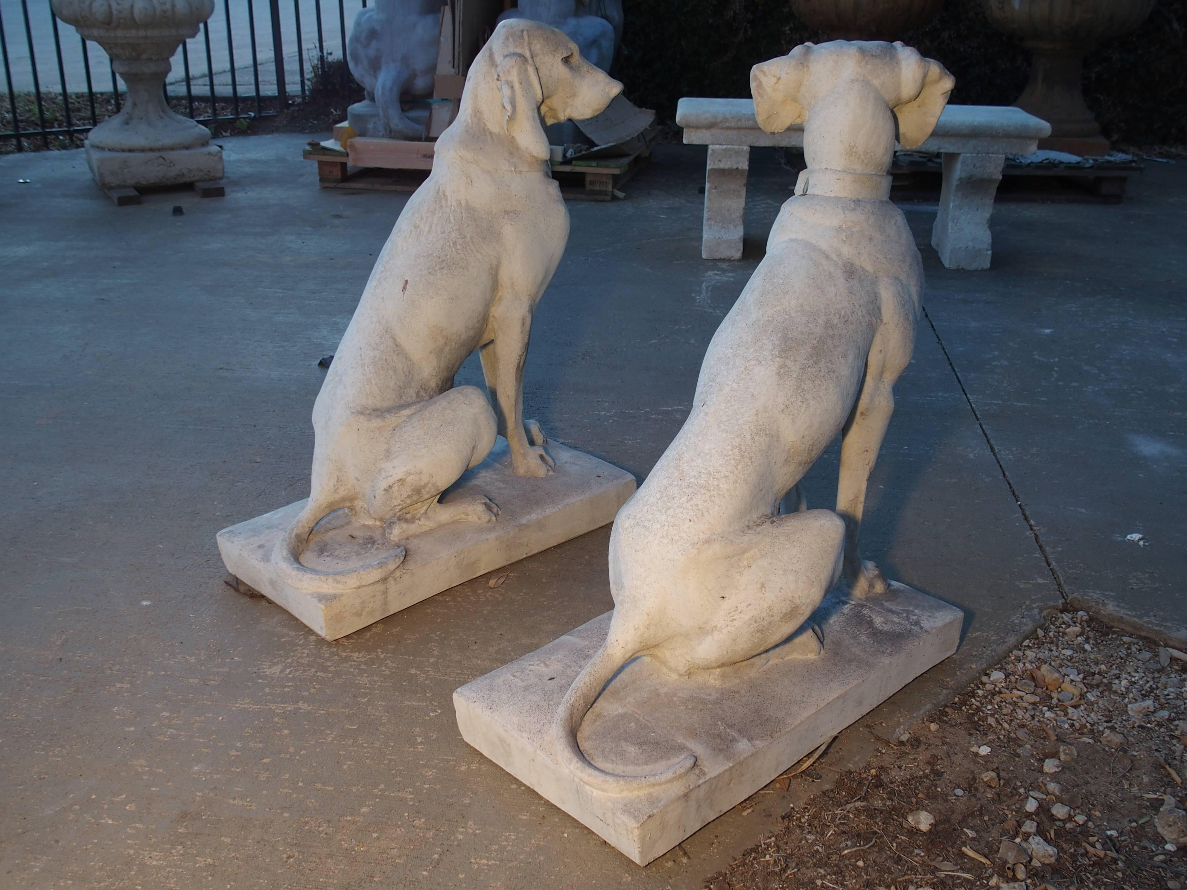 Contemporary Pair of Finely Cast Stone Hunting Dog Statues