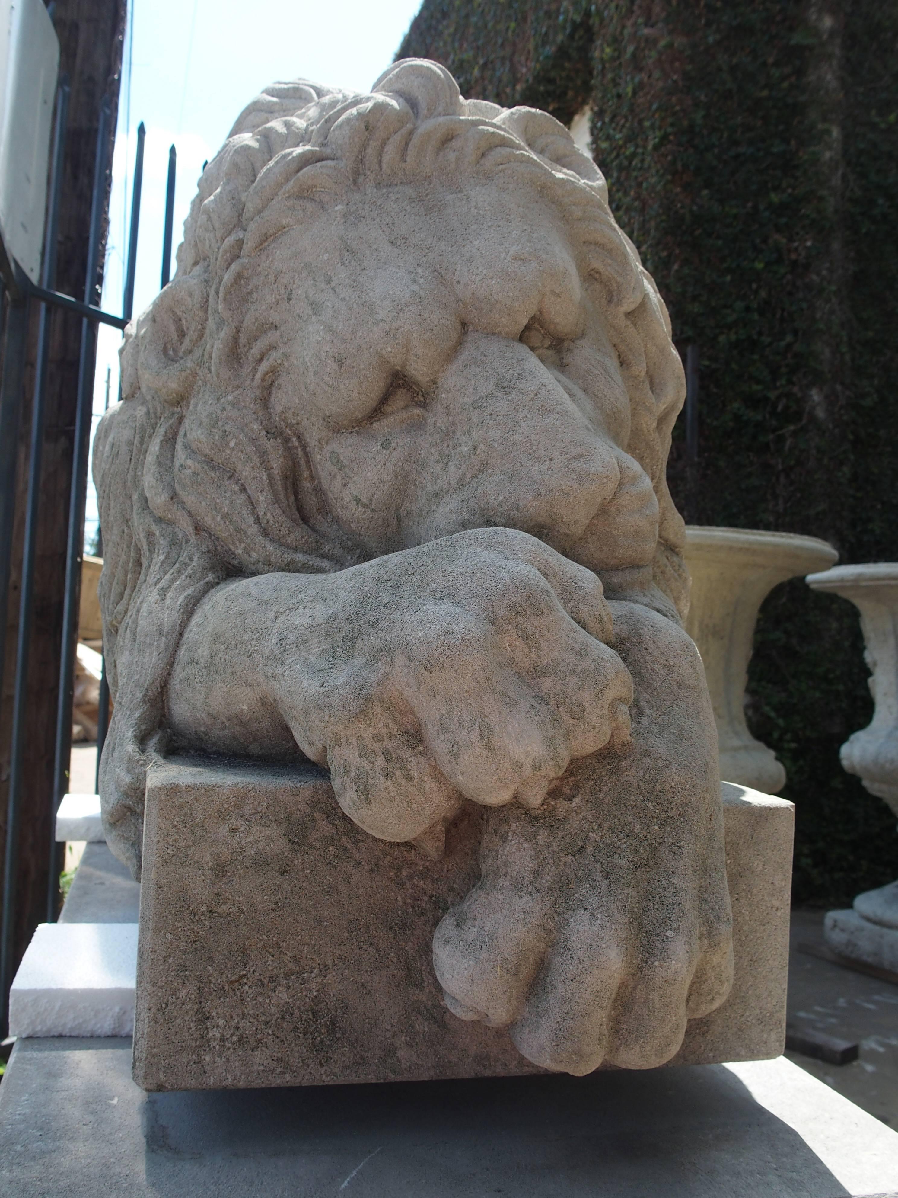 Paire de grands lions en pierre sculptée sur piédestal:: 