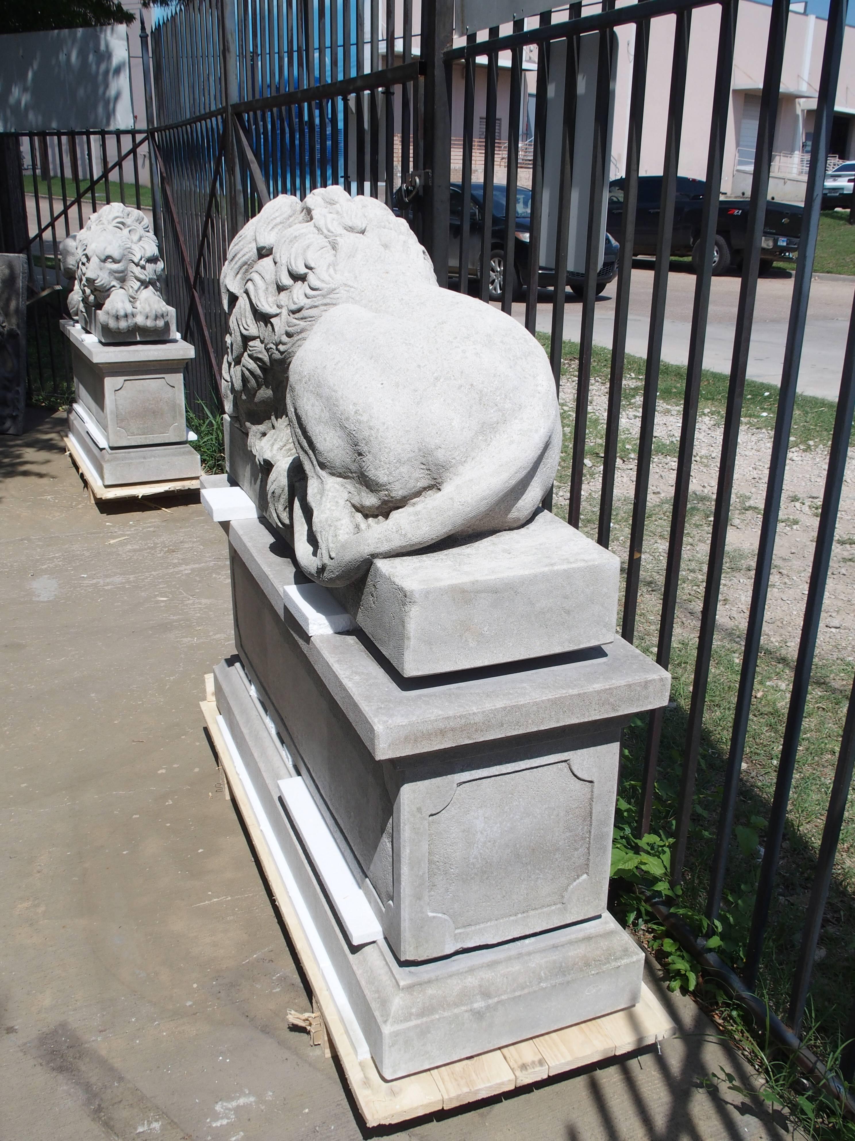 Paire de grands lions en pierre sculptée sur piédestal:: 