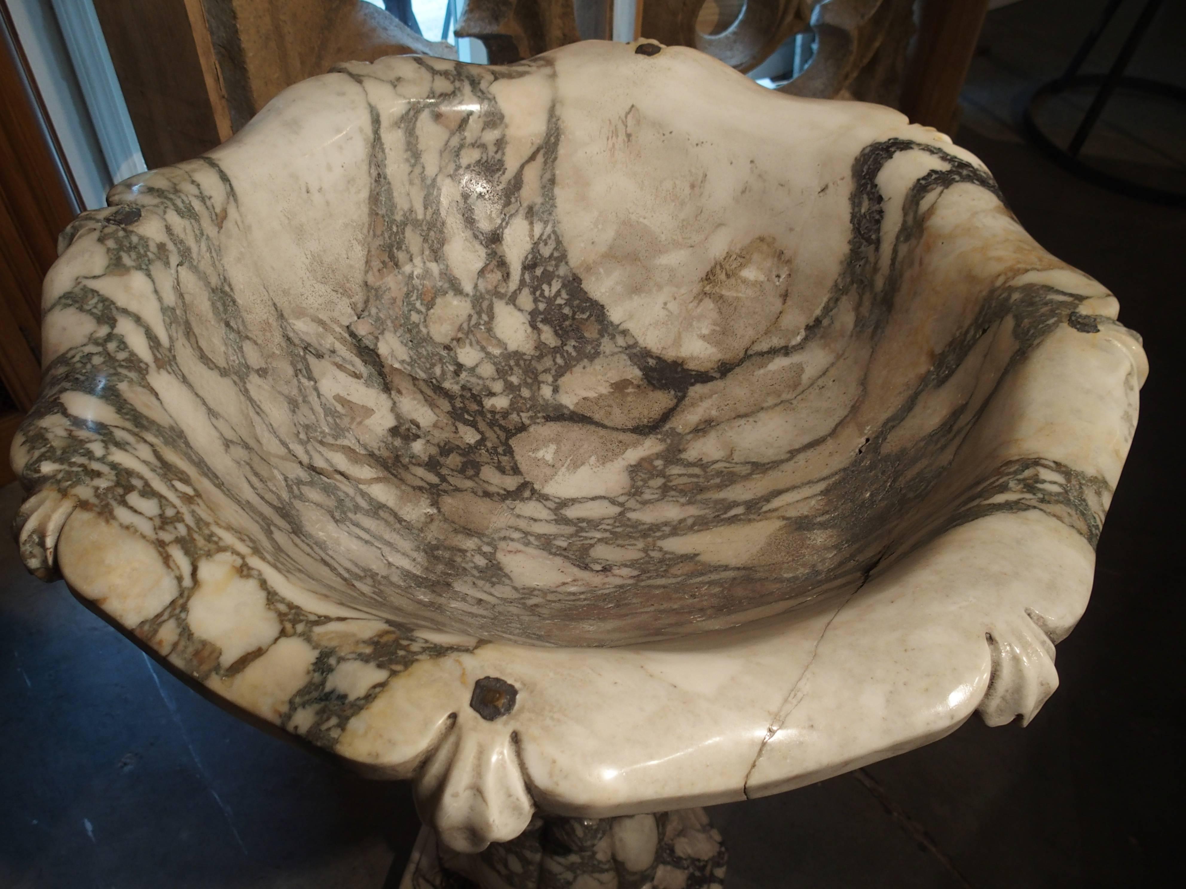 Elegant Calacatta Venato Marble Font from Italy 4