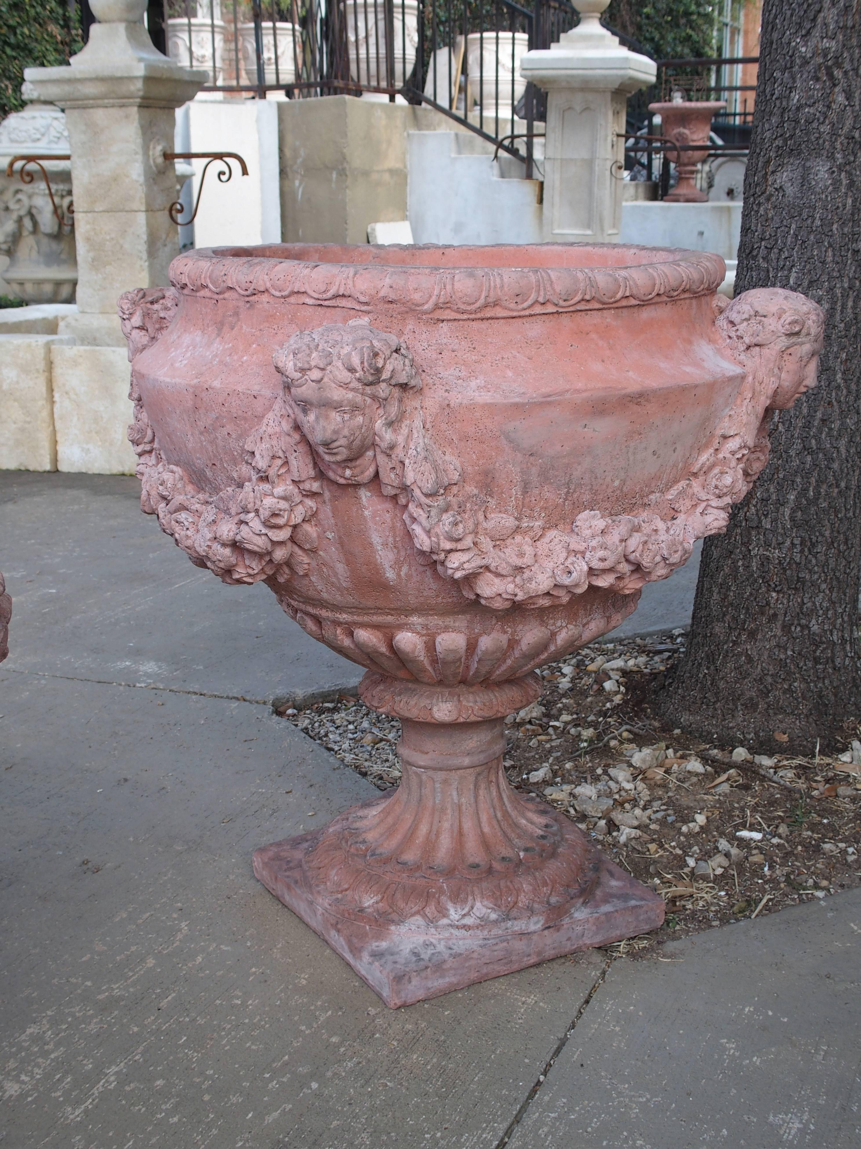 These large, cast stone urns have been made with a mixture of crushed limestone, bluestone and cement. The terracotta color has been mixed in with the stone, not applied. They have beautifully detailed floral swags flowing from four female masks.
