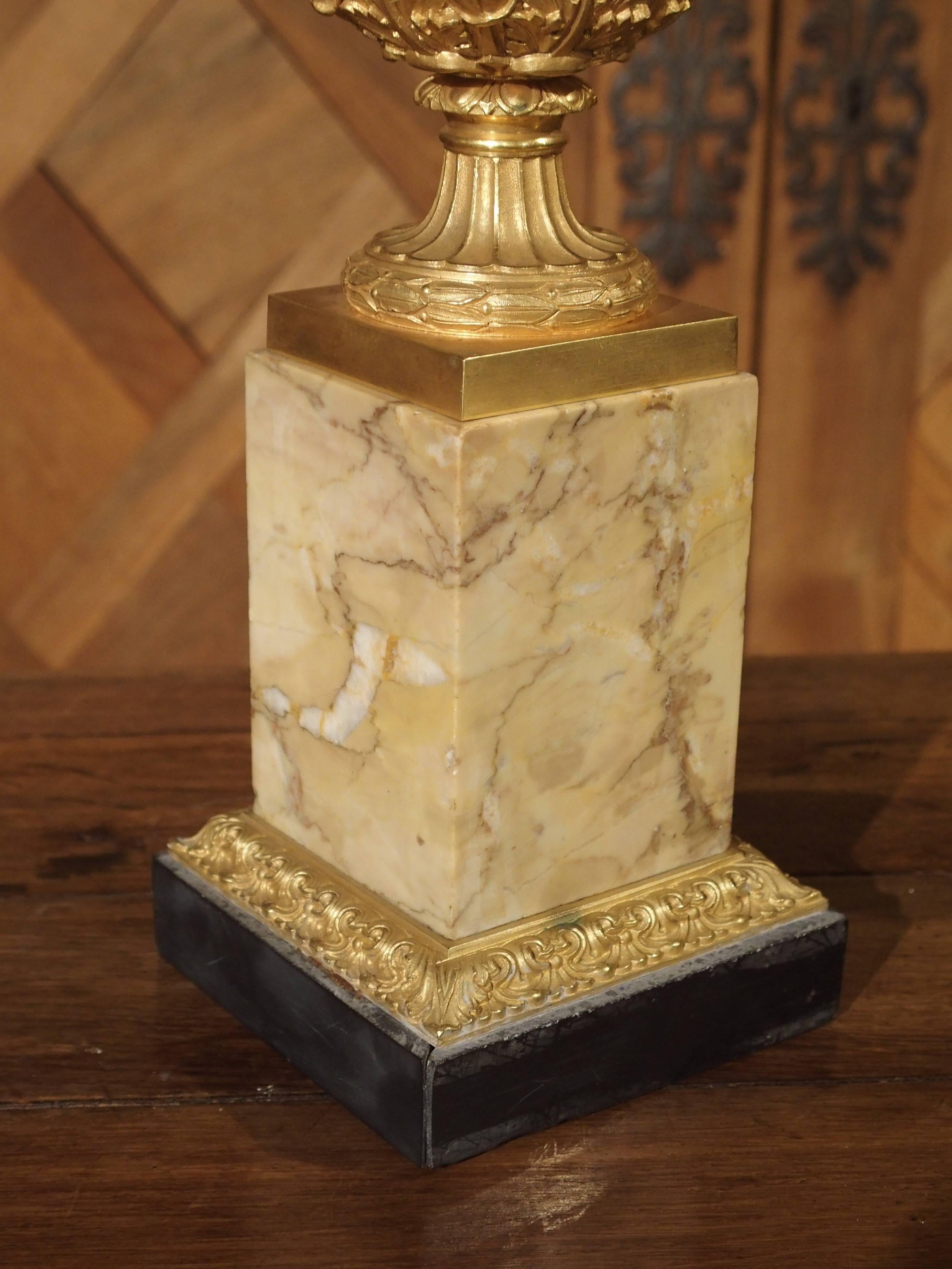 This small, early 1800s mercury gilded bronze Medici Vase rests upon a square pedestal made from Toscana marble and a stepped out black, square marble base. There are beautifully chased motifs on the vase of egg and dart, beading, stylized acanthus