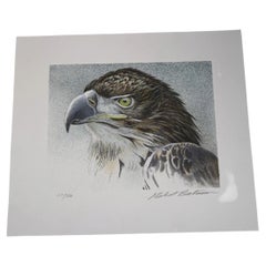 Eagle Bust Signed Limited Edition Original Lithograph by Robert Bateman
