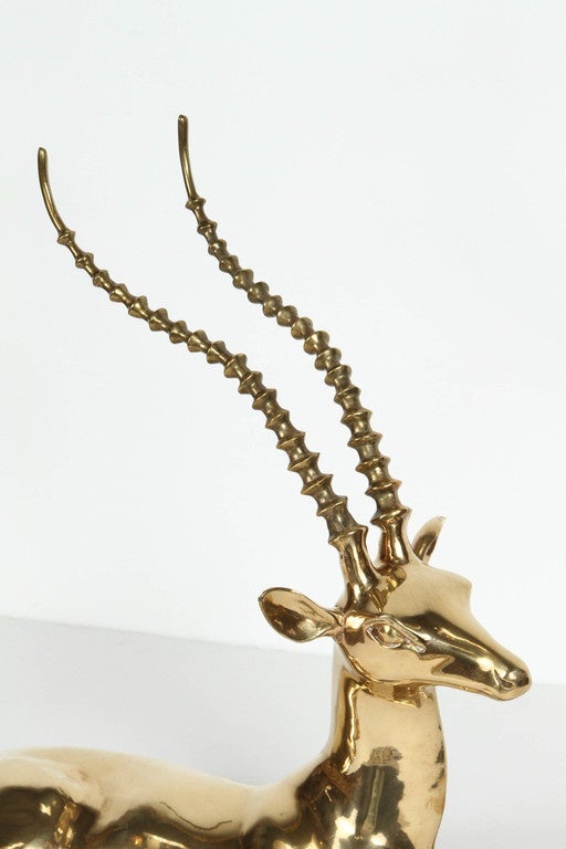 Fabulous addition to any decor, large Hollywood Regency polished brass handcrafted North African resting antelope sculpture.
Gorgeous and substantial, iconic 1960s Hollywood Regency vintage cast brass stag antelope sculpture. 
Very large vintage