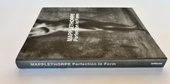 Robert Mapplethorpe: Perfektion in der Form – Bildband zur Kunstfotografie-Ausstellung