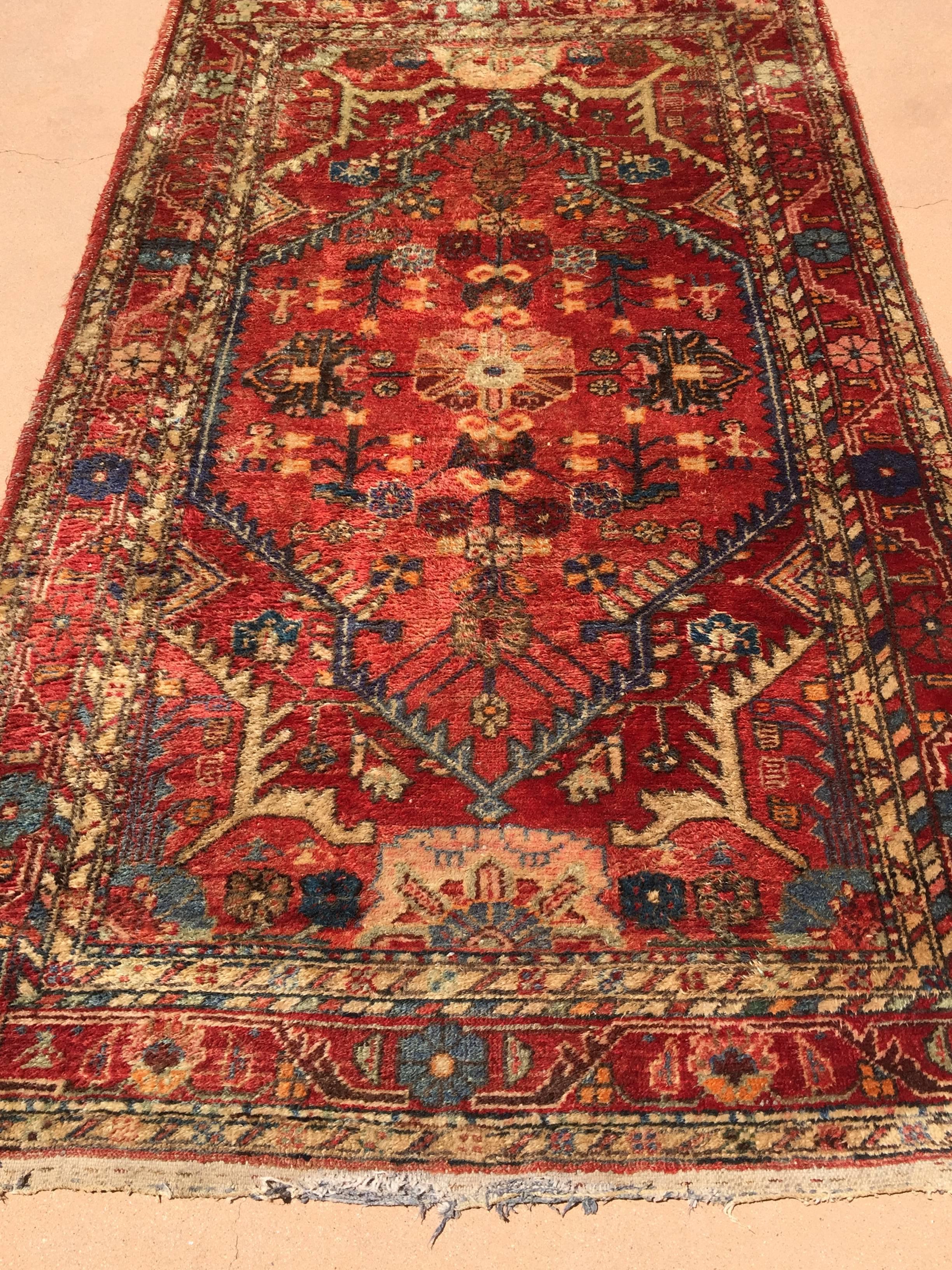 Bohemian Hand-Knotted Rug from Turkey