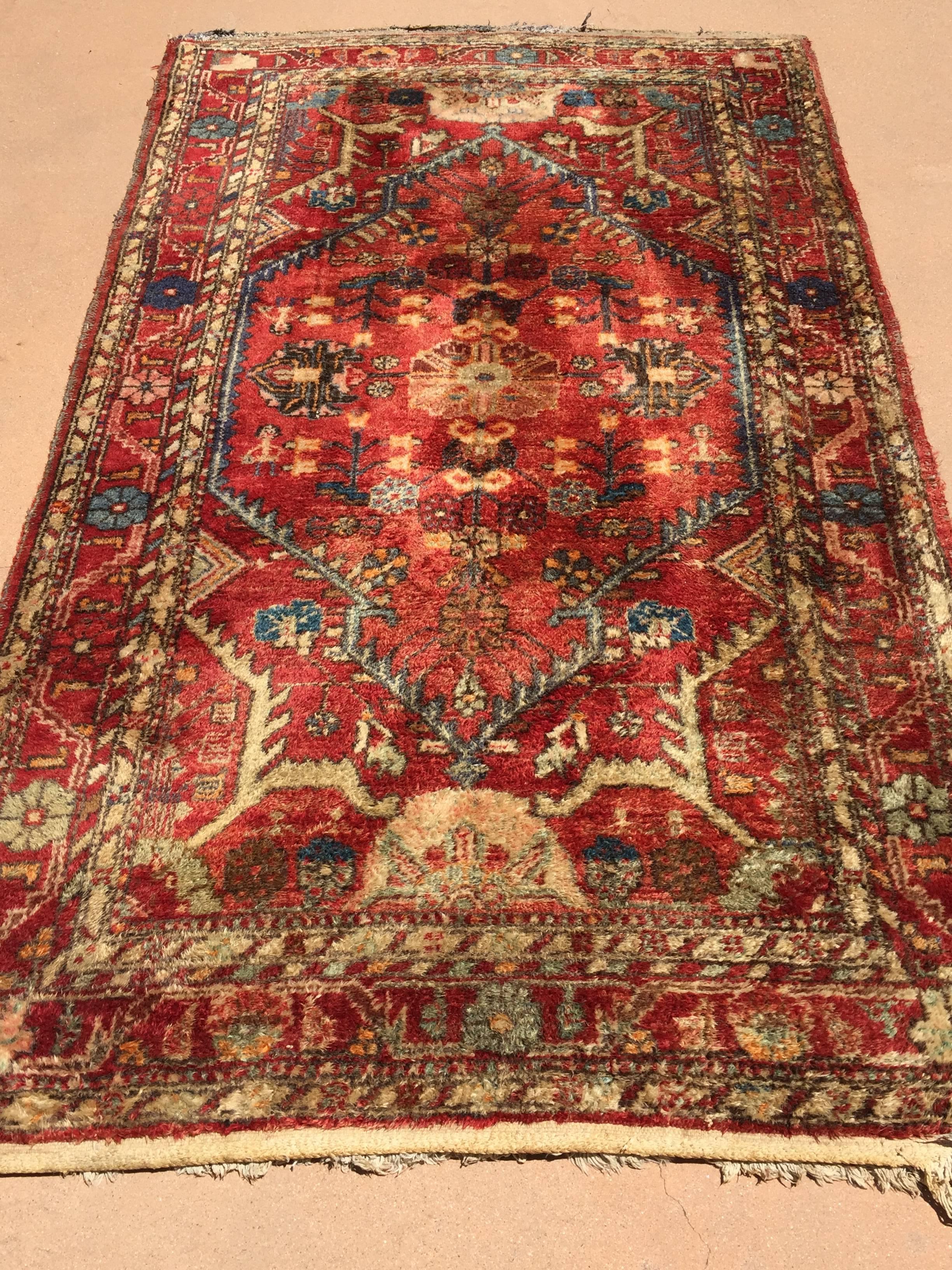 Turkish Hand-Knotted Rug from Turkey