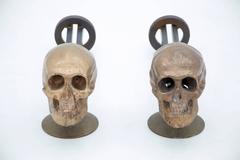 Paire de chenets Crâne en bronze