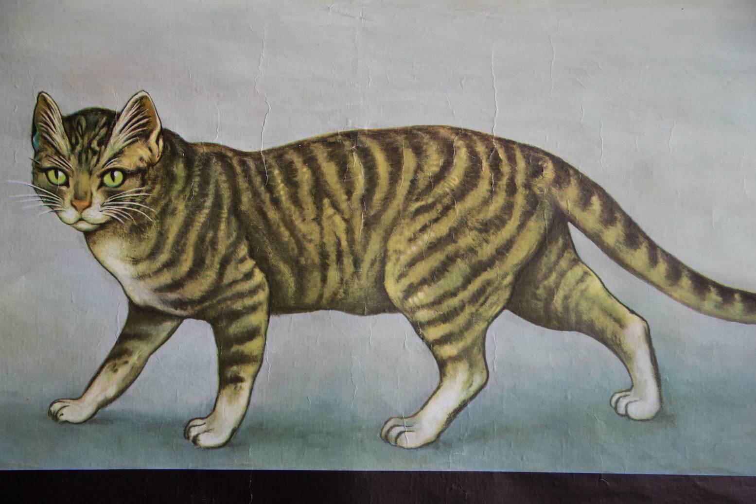 vintage cat posters