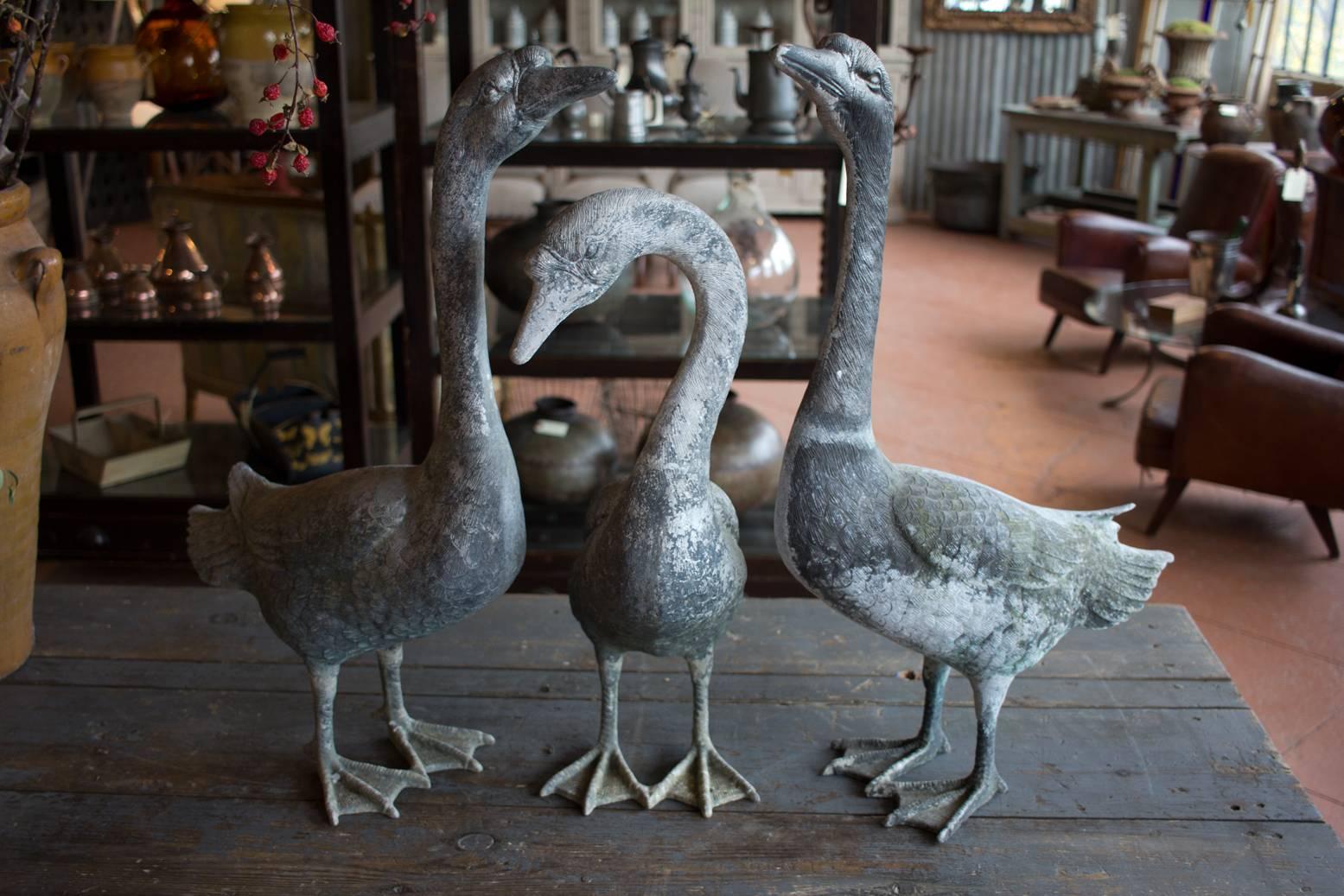 British Rare Set of Three Antique Zinc Snow Geese